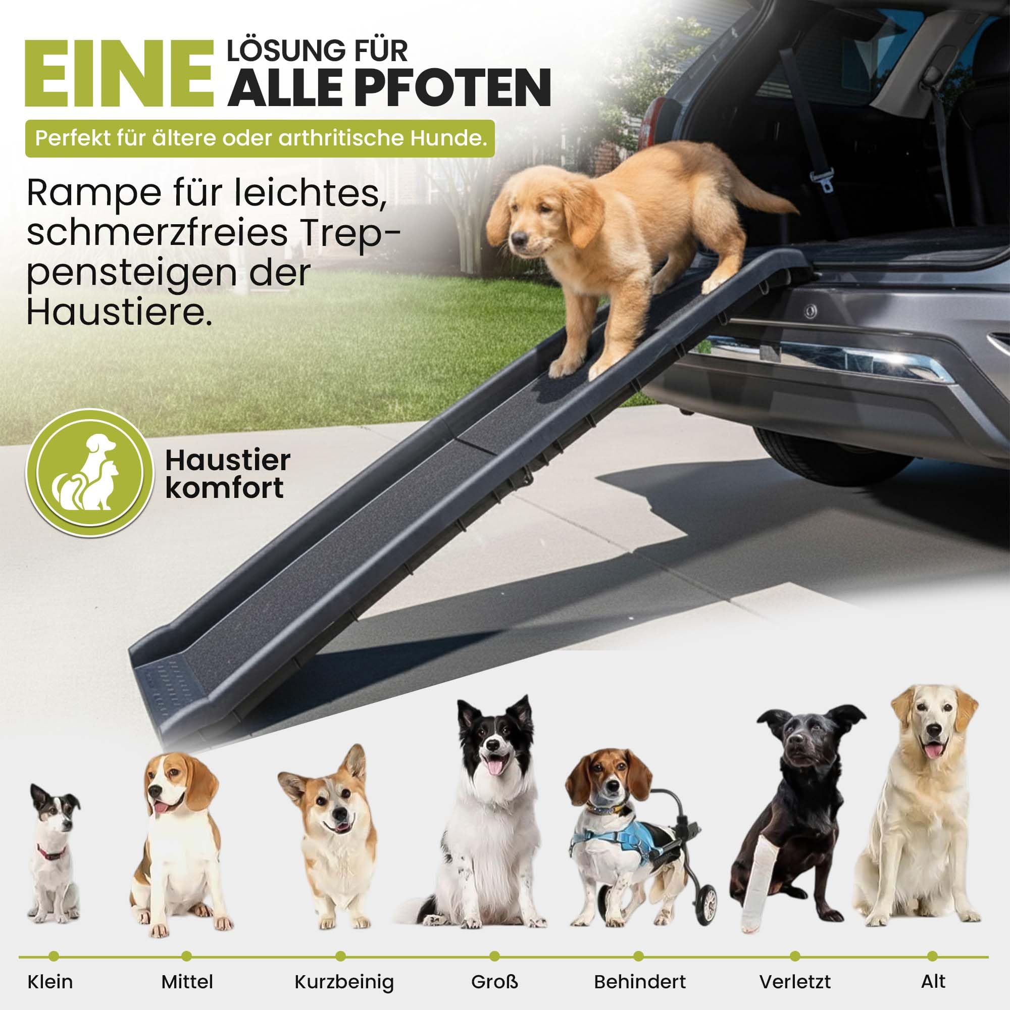 all Pets United® Hunderampe klappbar Hundetreppe Hunde- & Katzentreppe Rampe Einstiegshilfe für Kofferraum Haustiertreppe für Große & Kleine Tiere (Hunderampe)