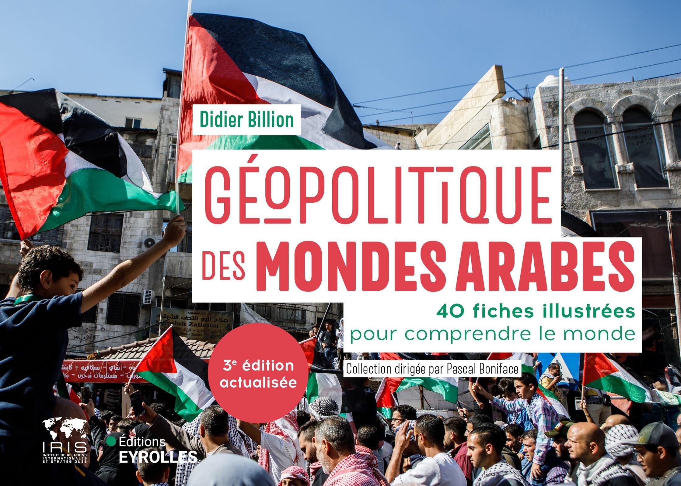 Géopolitique des mondes arabes/Nouvelle édition mise à jour: 40 fiches illustrées pour comprendre le monde