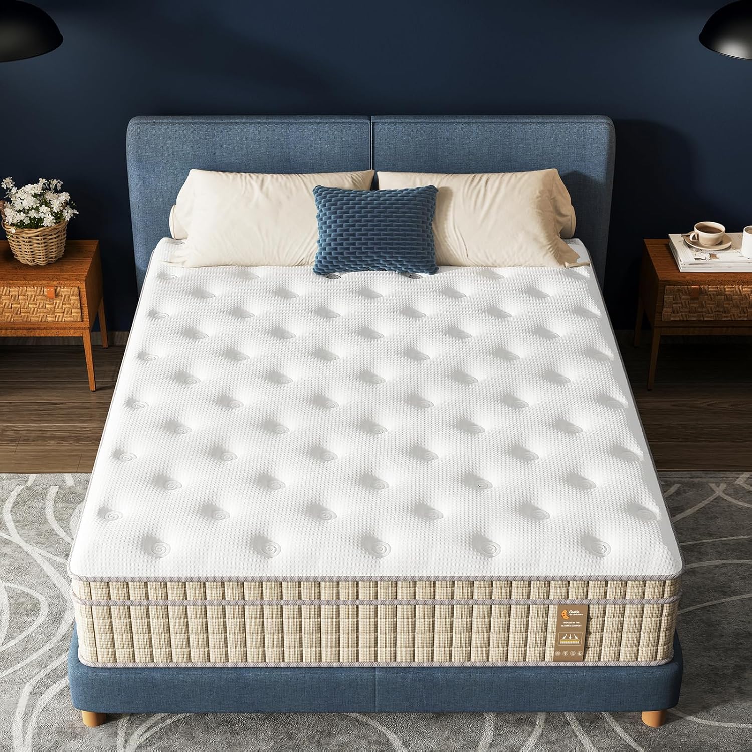 Queen Mattress - Luxury 14 Inch Firm Queen Bed Mattress in a Box, with Pillow Top & Upgrade Pocket Springs for Lumbar Support & Back Pain Relief, Non-Toxic & Odor