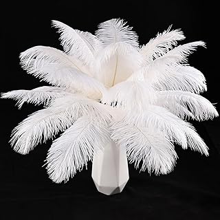 THARAHT White Ostrich Feathers 24pcs Natural Bulk 8-10Inch 20cm-25cm for...