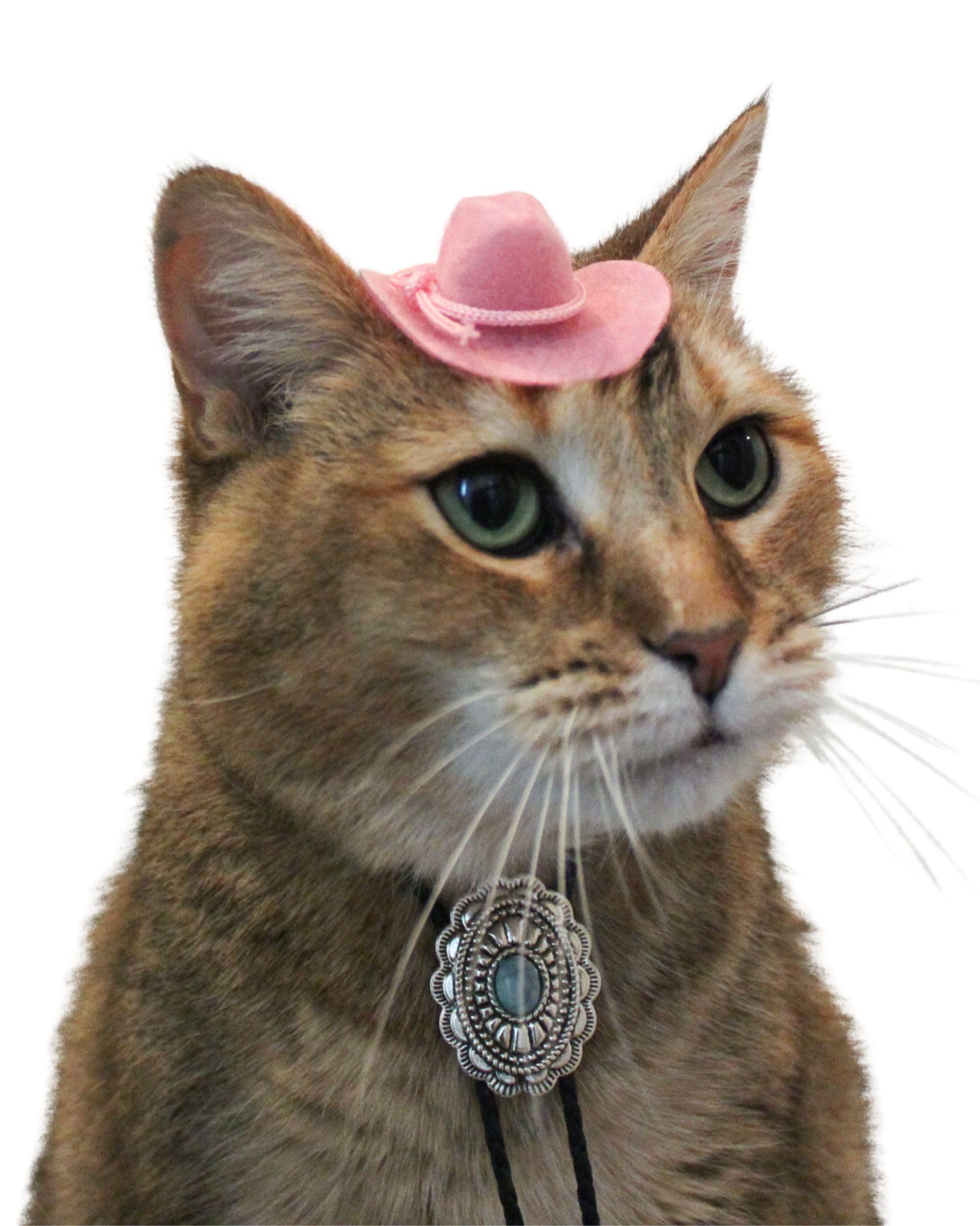 Amazon.com: Mini Pink Cowboy hat for cat with handmade mini  display picture 2