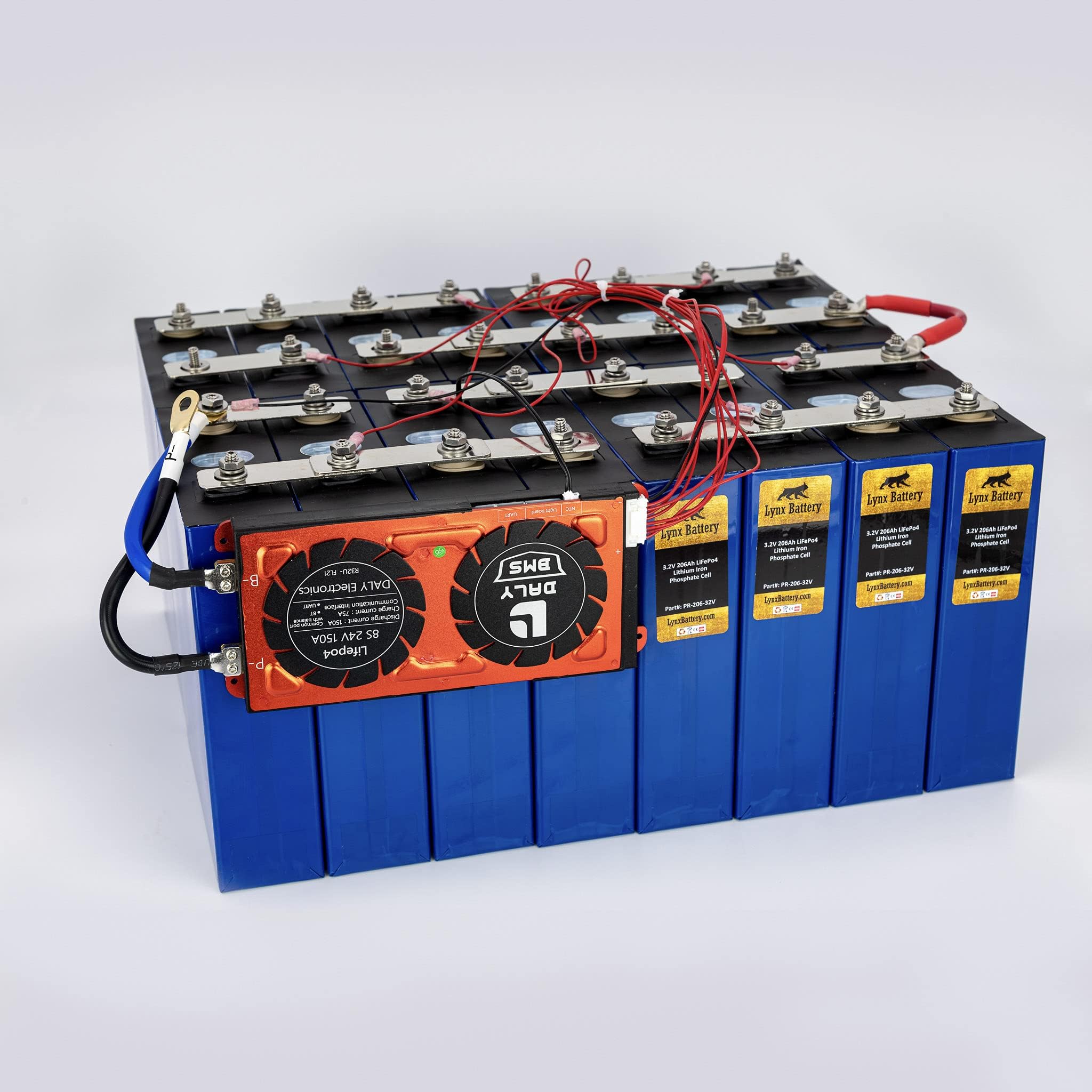 Lynx Battery 48V 200Ah Lithium Iron Phosphate LiFePO4 Rechargeable Prismatic Deep Cell Battery with BMS and Preset Cold Temp Cut Off for RV, Solar, Marine & Off-Grid Applications