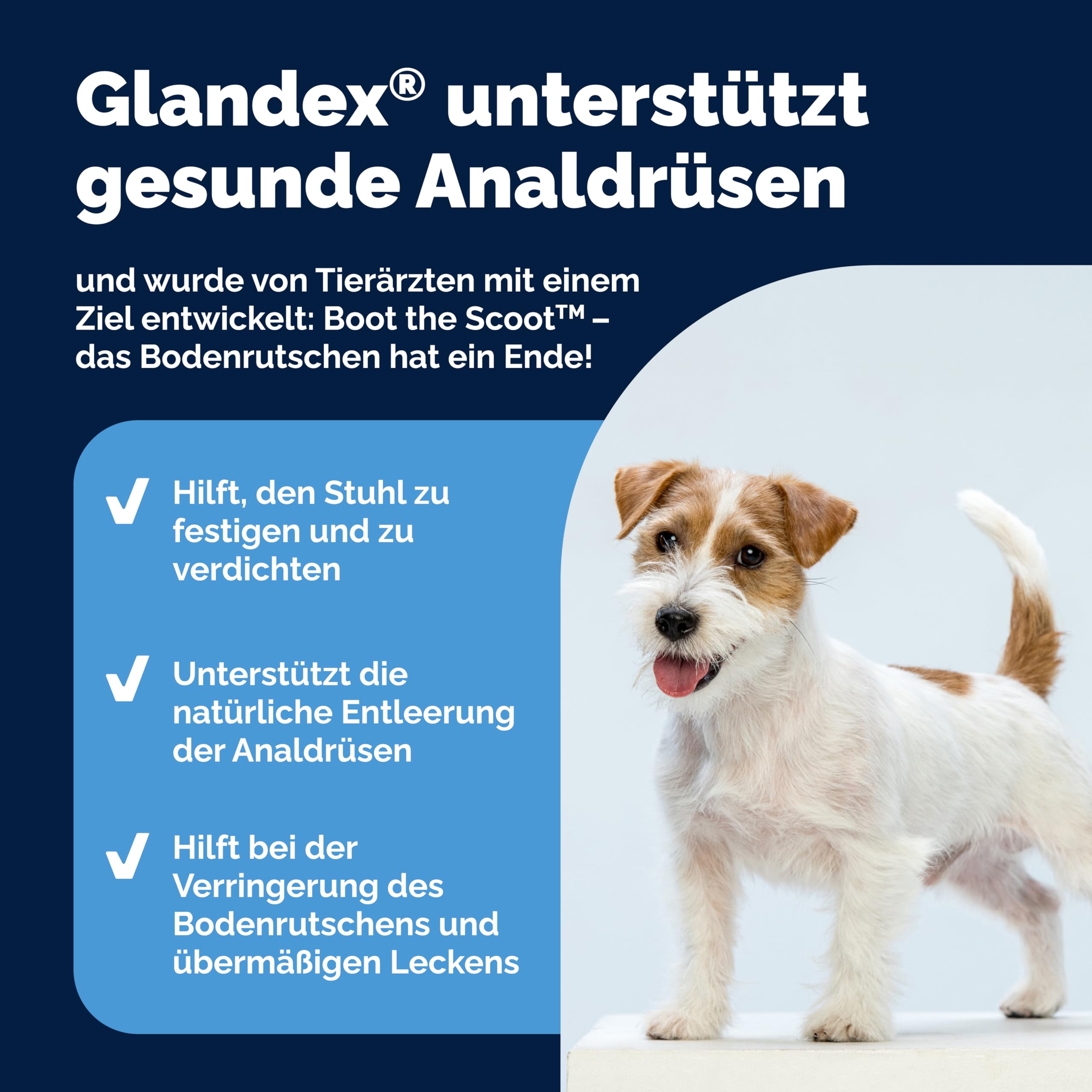 Vetnique Glandex für Hunde - 60 Kausnacks für die Analdrüsen Hund - Tierärzten der Analdrüsen und Einer gesunden Verdauung - Omega-3, Kürbiskern und Ballaststoffen - Analdrüsenkur für Hunde