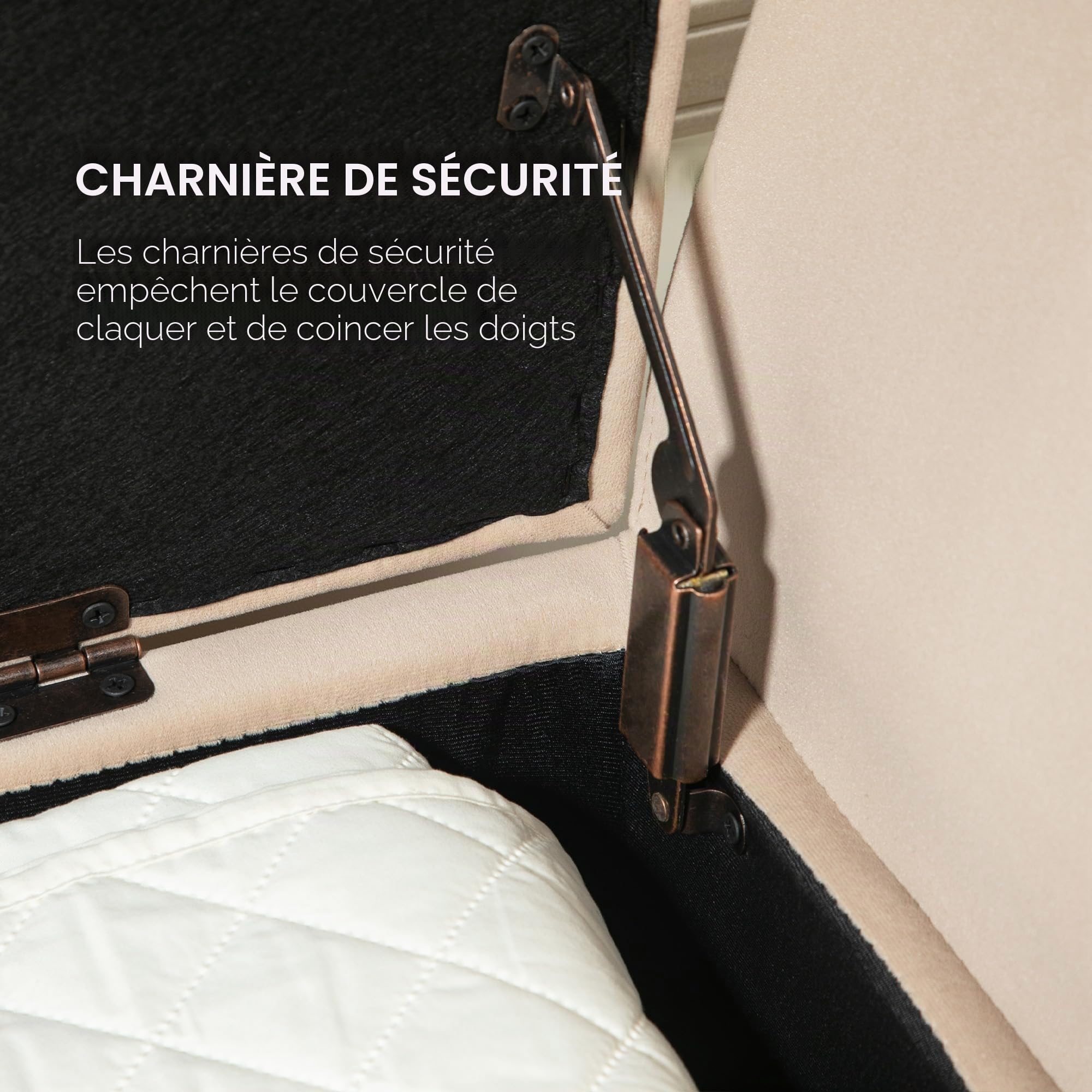 HOMCOM Banc de Rangement avec accoudoirs Aspect Velours - Coffre avec Pieds en Bois - pour Salon, Chambre à Coucher, Couloir - 107 x 42 x 65 cm - Beige