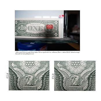 (未使用･未開封品) LAOWA 交換レンズ 12mm f/2.8 ZERO-D キャノンFE用 LAO0017 Amazon.co.jp: 【国内正規品】 LAOWA 交換レンズ 12mm f/2.8