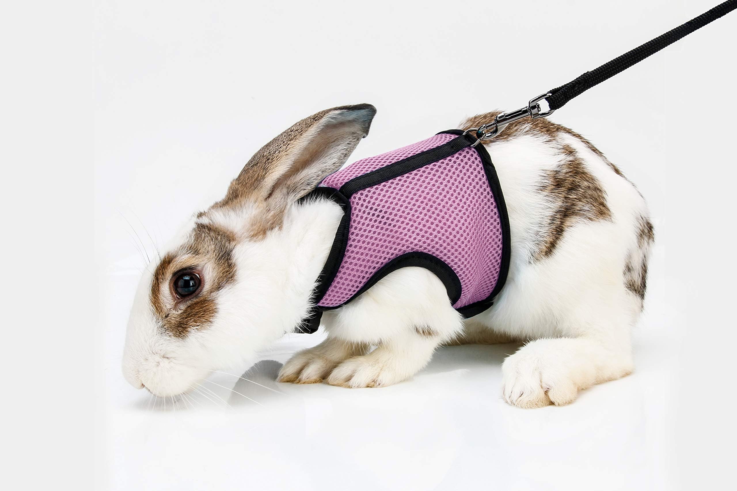Soft Rabbits Harness with Leash (Pink)