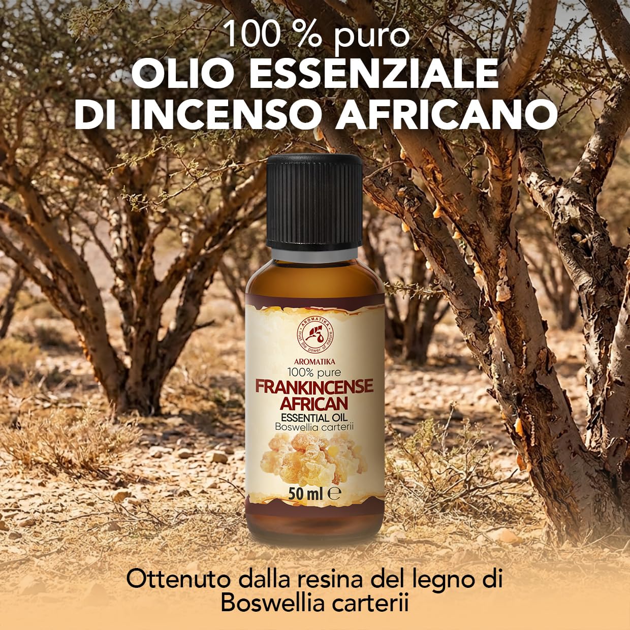 Olio Essenziale di Incenso Africano 50 ml – per Diffusori e Aromaterapia | Per aromaterapia, diffusori e lampade; saponi e candele; profumo per la casa; aroma caldo speziato; profumo d’ambiente