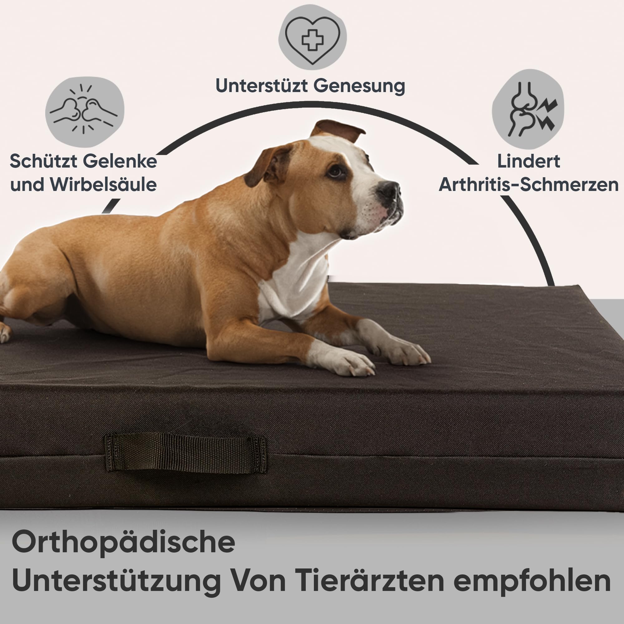 COOL PET Matelas pour Chien 10 cm d'épaisseur Panneau orthopédique en Mousse à Froid