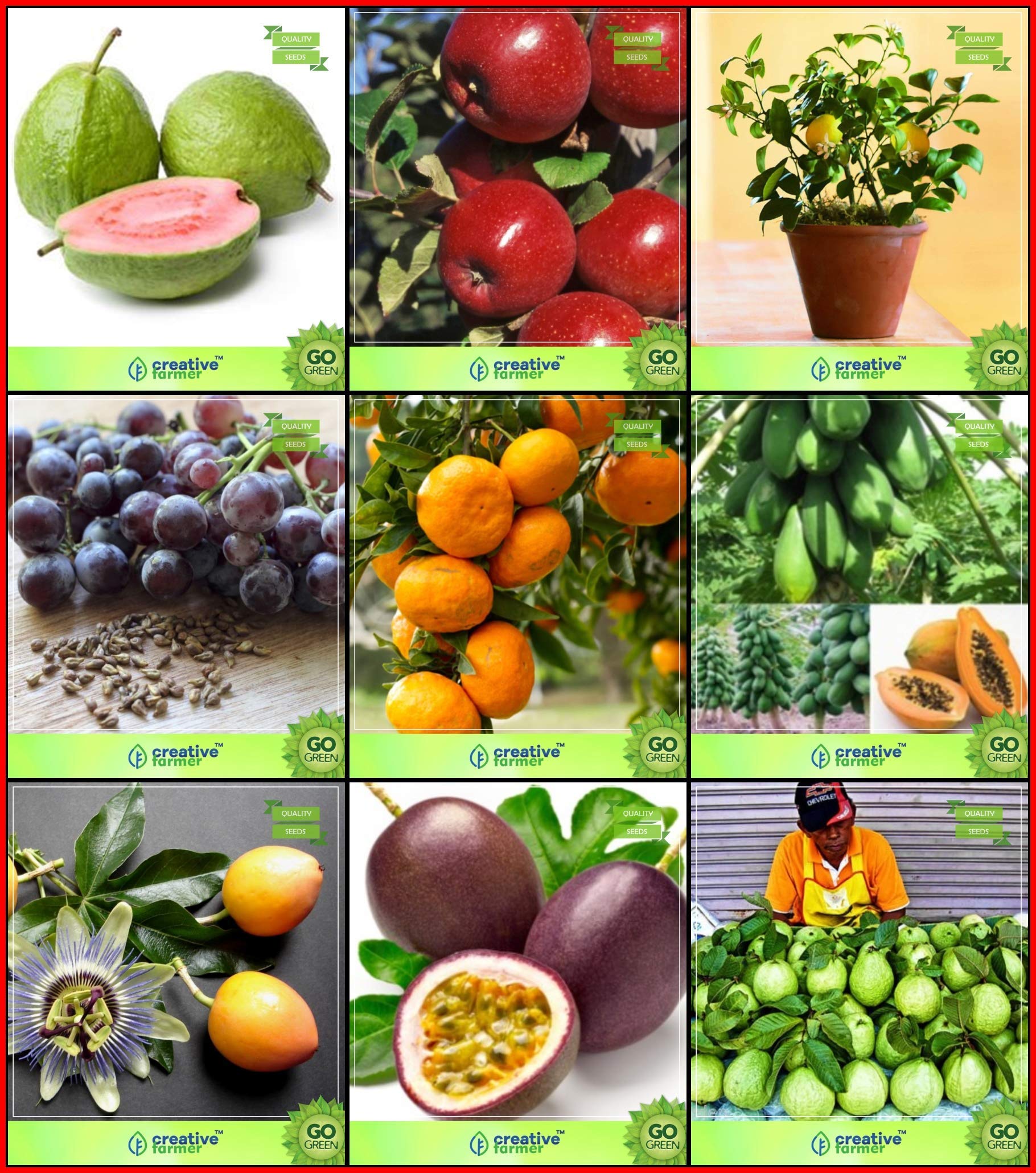 OhhSome Guava, Apple, Citrus Seeds, Grape, Orange, Papaya, Passion Fruit - Yellow, Passion Fruit - Violet, Kilo Pera For Gardening Eco Garden Seeds Combo Tree Seeds and Fruit (White) (B07XM5XM3Z) Amazon Price History, Amazon Price Tracker