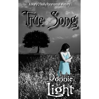 True Song Audiobook by Donnie Light episode artwork