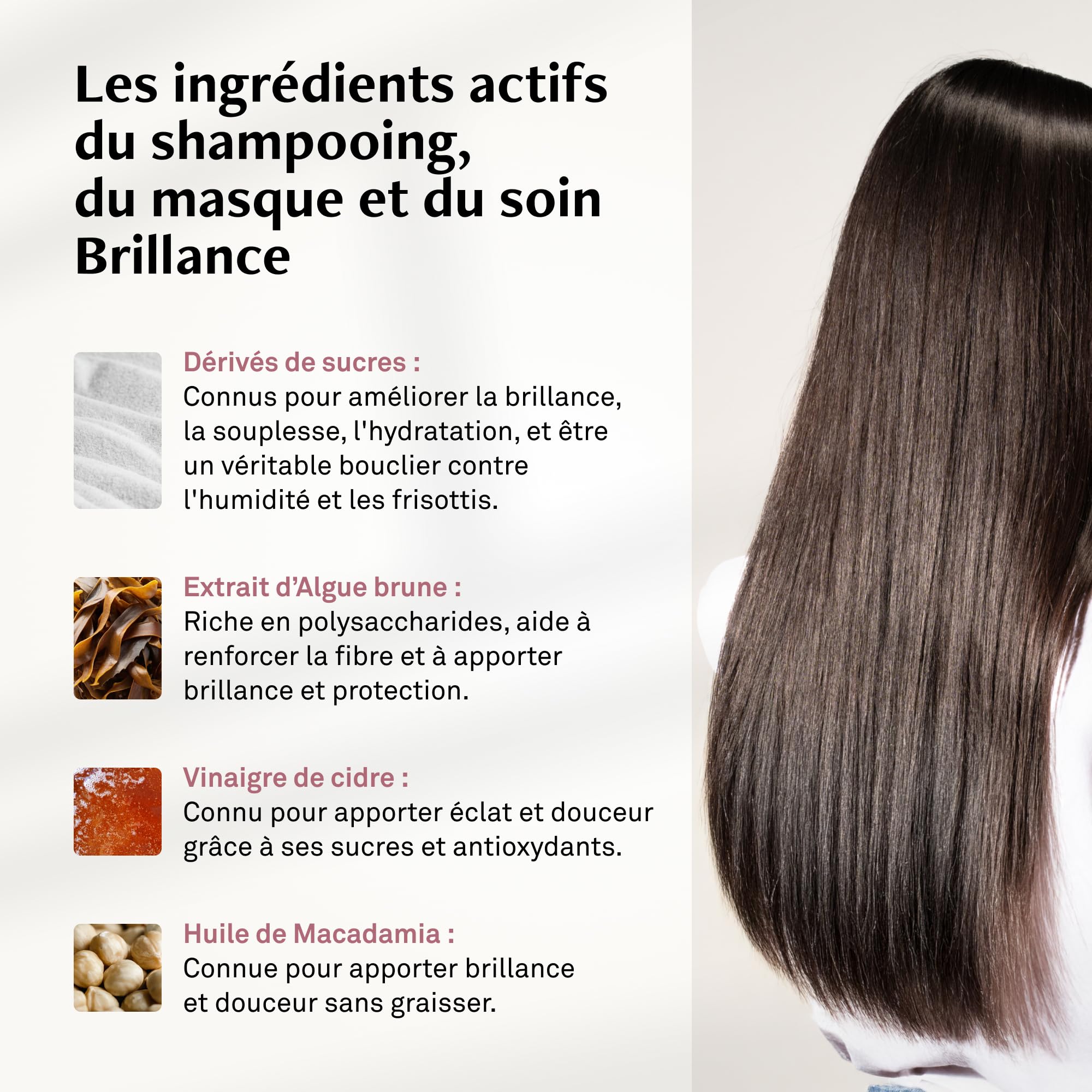 LUXÉOL - Coffret Routine Brillance Voyage - Cheveux Ternes & Poreux