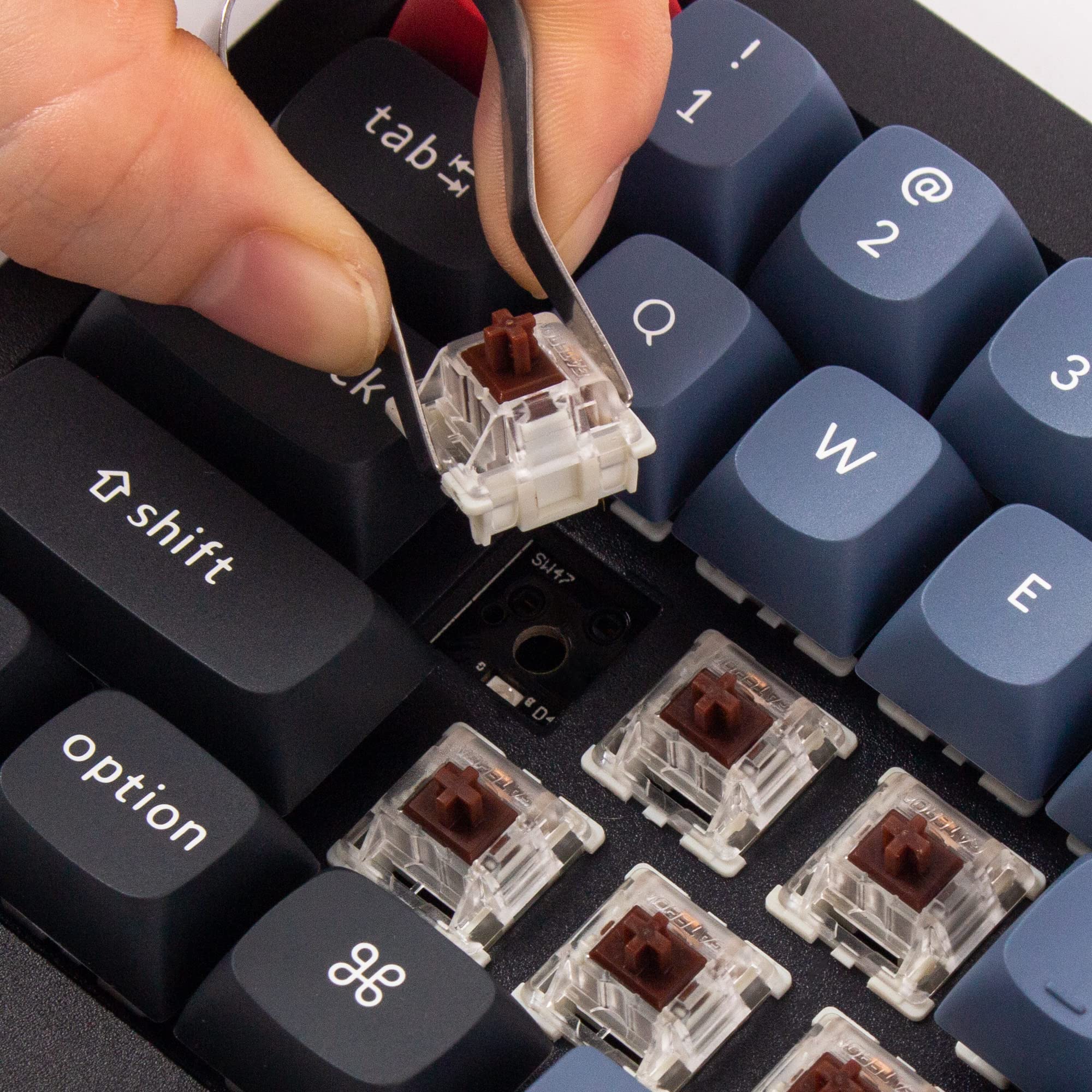 Amazon.com: Keychron Q4 Wired Custom Mechanical Keyboard, 60