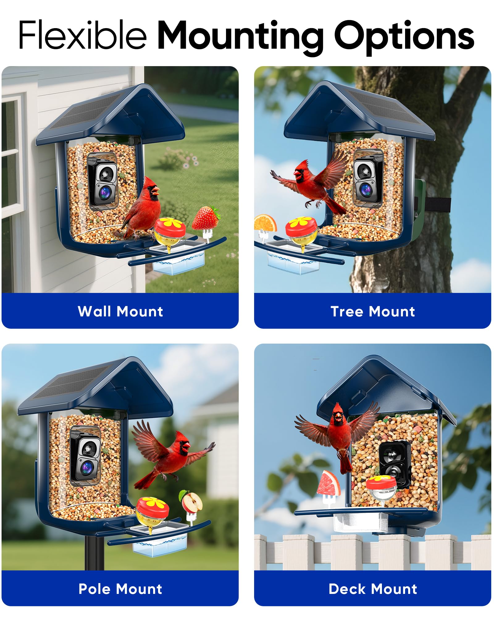 Comedero para pájaros con cámara: alimentador de cámara inteligente para pájaros alimentado por energía solar 2K Live Feed para patio trasero, identificación de IA de captura automática