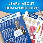 National Geographic Human Body Model for Kids - 32-Piece, 23 cm Glow-in-The-Dark Interactive Anatomy Model with Bones, Organs, Muscles, Stand, Forceps & ID Chart, Anatomy & Physiology Study Tools