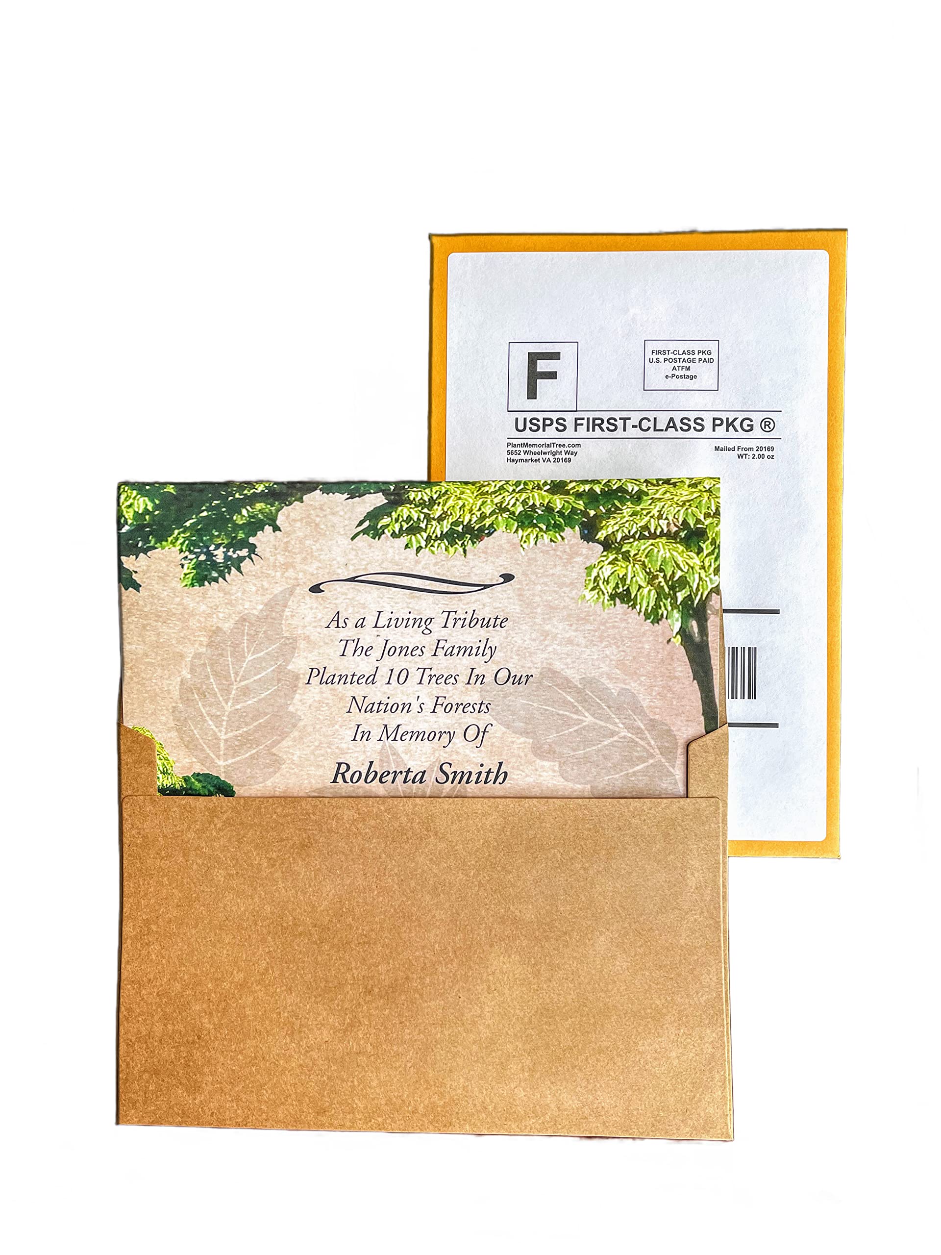 Plant a Tree in Memory for Someone in Our National Forest | Includes a Personalized Mailed Condolence Card (10 Trees)
