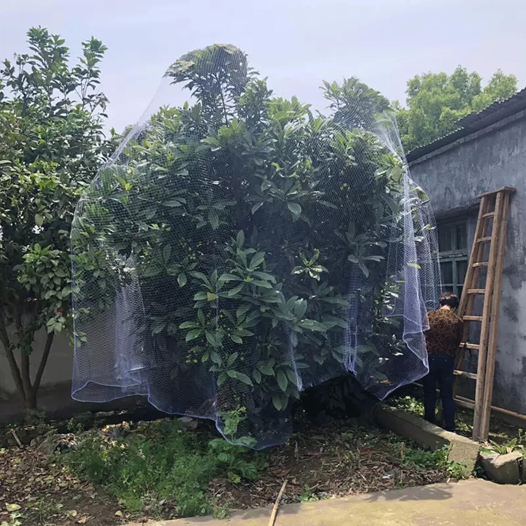 Malla Antipajaros, Red para Pájaros y Palomas de Jardín, Red de Protección contra Pájaros Multiusos, Redes de Protección para Arboles Frutales Plantas Verduras(Size:7m x 30m)
