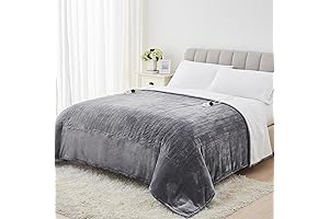 Homemate Queen Heated Electric Blanket: Luxurious Warmth and Comfort for Your Bed