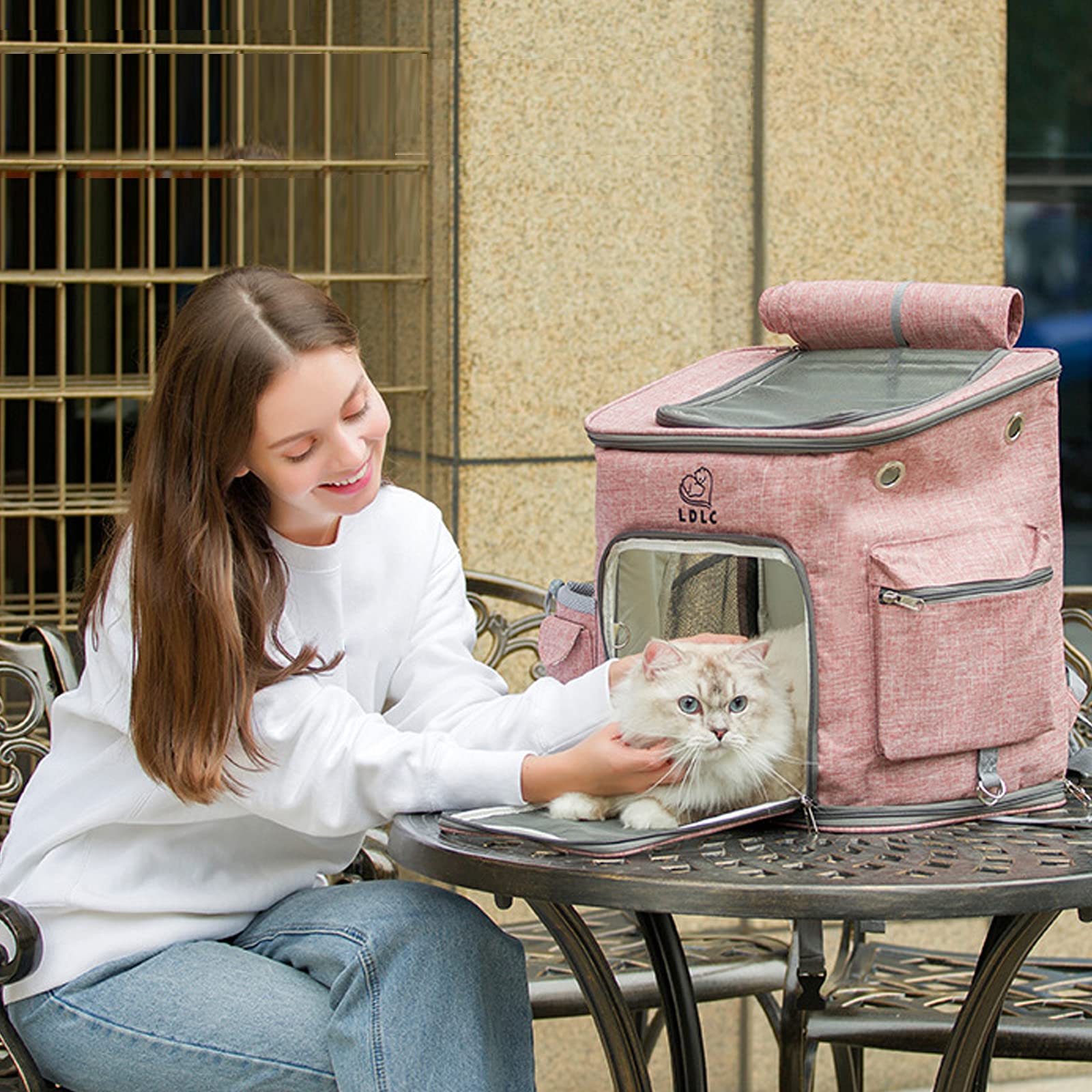 PETCUTE Mochila para Perro Gatos,Plegable Bolsa Transporte Transpirable y Espaciosa con Estructura de Alambre Sólido,Mochila Transportín Perro con Colchón Suave,Correa de Hombro Ajustable