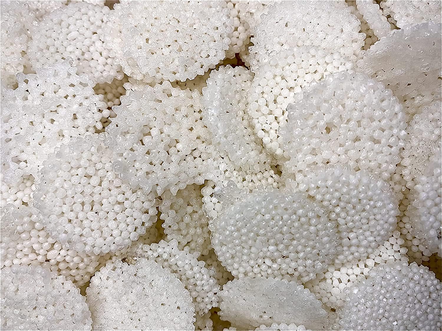 Veganic Sabudana Coin Papad Plain - 800gm | Vrat/Fast Special Small Sago Fryums With Sendha Namak (B09JSZ95VP) Amazon Price History, Amazon Price Tracker