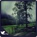 Virtual Rain Drops - Calm Rain Ambience