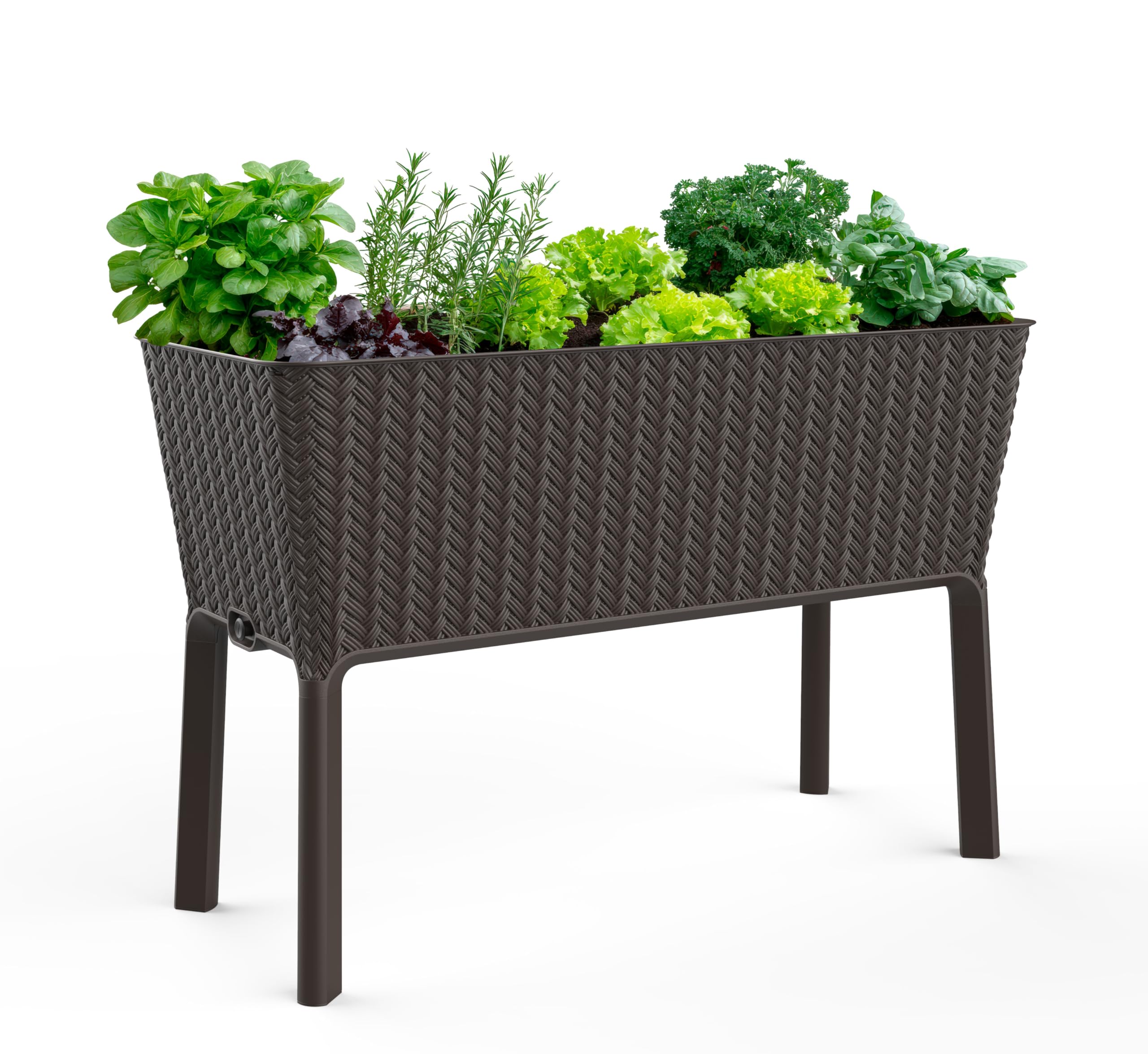 Keter Easy 31.7 Gallon Raised Garden Bed with Self Watering Planter Box and Drainage Plug-Perfect for Growing Fresh Vegetables, Flowers and Herbs, Graphite
