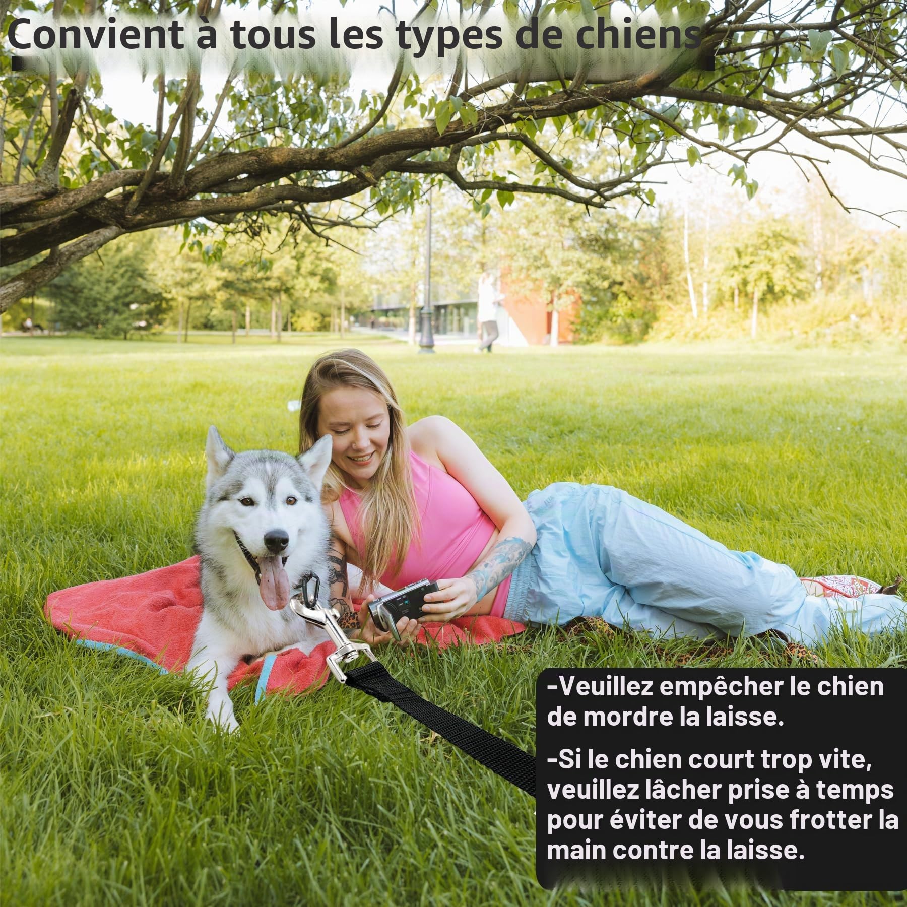 Laisse pour chien 5 m de CiciIng, Laisse imperméable avec dragonne et mousqueton à 360°, Laisse robuste pour l'entraînement pour chiens de petite, moyenne et grande taille