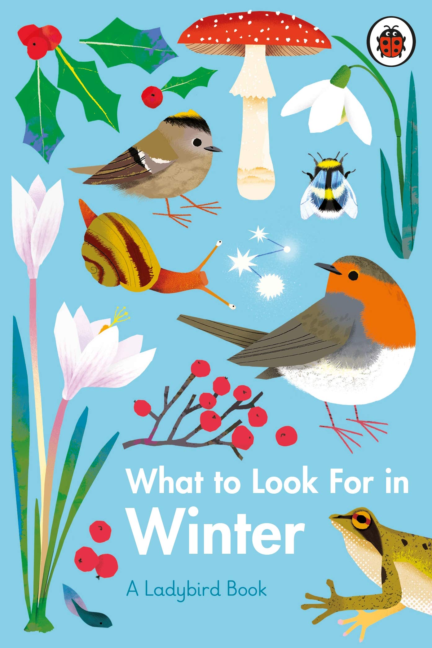 Elizabeth Jenner What to Look For in Winter Hardback Book English 48 pages