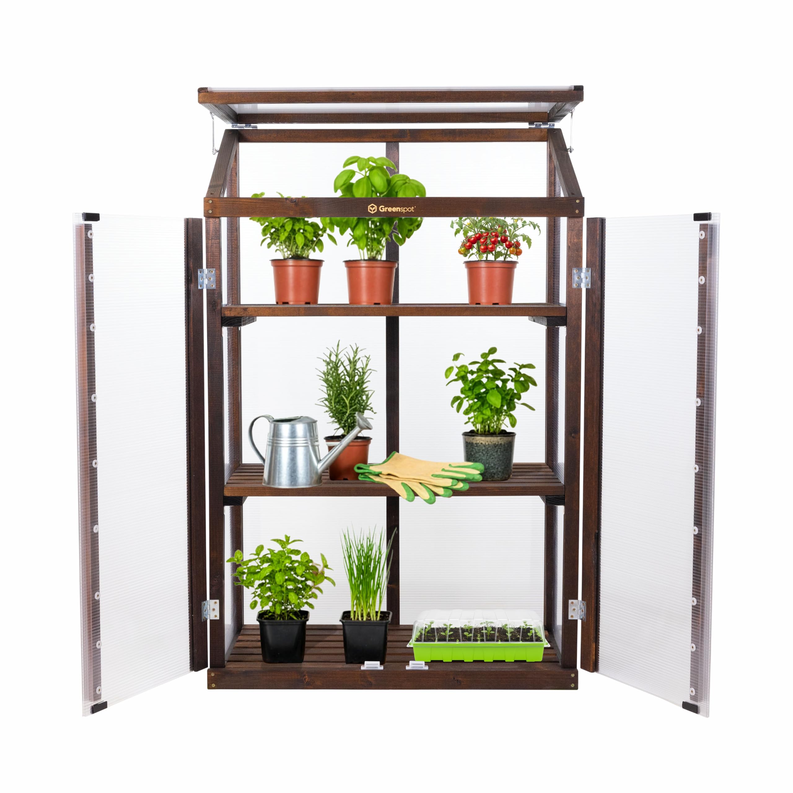 Greenspot - Mini Szklarnia na Balkon i Taras - Szklarnia Balkonowa - 80 x 42 x 121 cm - z Drewna i Tworzywa, Maks. Obciążenie Półki 50 kg - na Zioła, Kwiaty, Rozsady - Origin Ciemny Palisander | 3 wytrzymałe poziomy na zioła, warzywa i kwiaty. Składany da