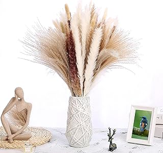 LeoAqua 80 Pcs Pampas Grass, 17.5 Inches Natural Dried Pampas Grass, 20 White Pampas Grass, 20 Natural Bunny Tail, 25 Reed...