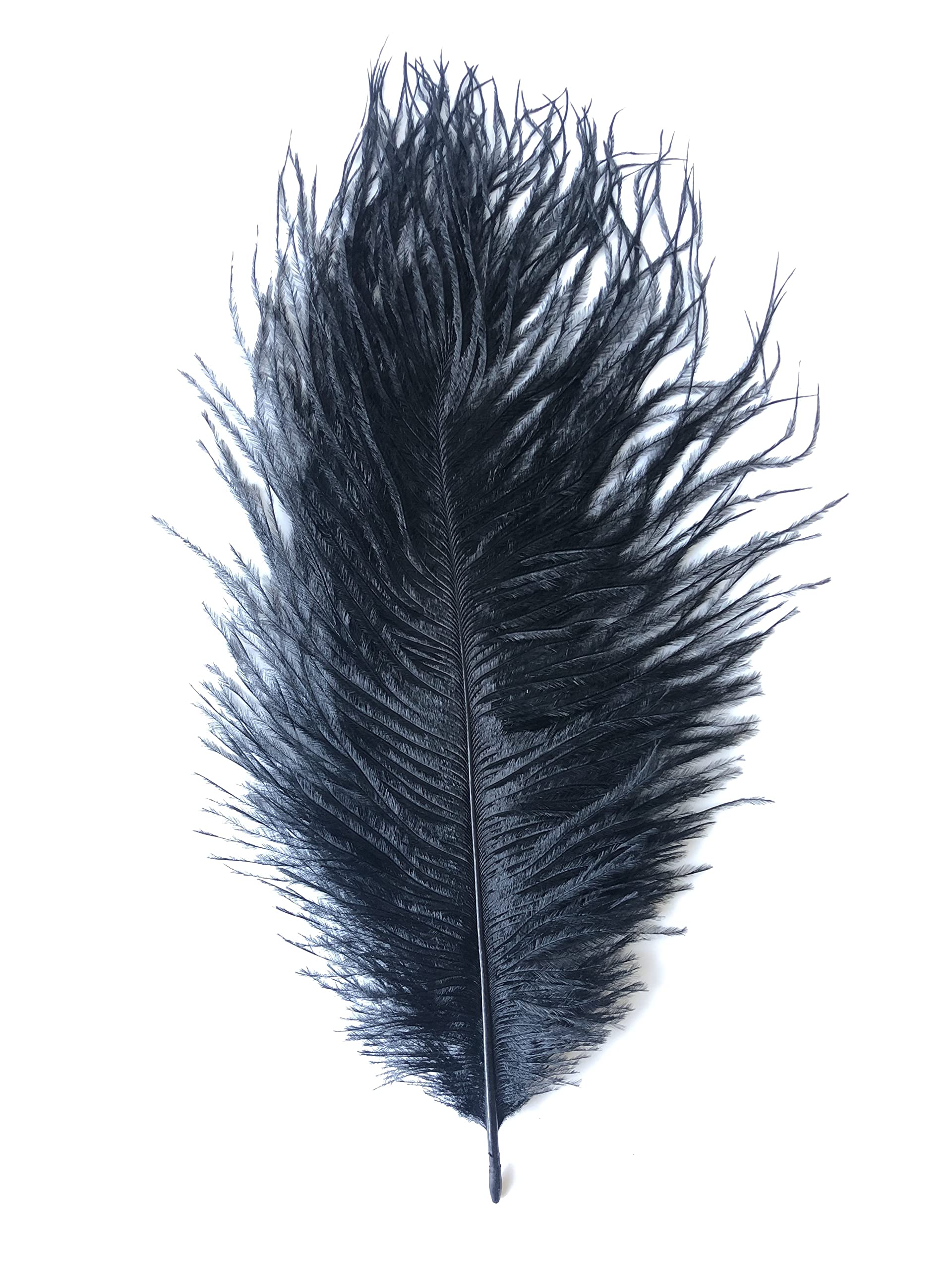Ostrich Feathers 10-14 Inch (25-35cm) (Black)