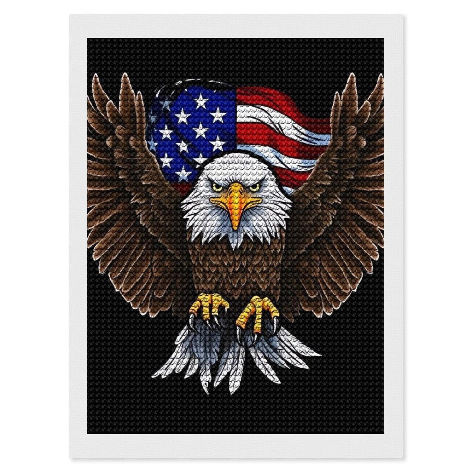 FodPand Diamond Art Kits for Adults, 5D Aurora Diamond Painting Kits for Beginners, USA Flag Patriotic Eagle DIY Full Drill Dots Gem Art Paint Crafts for Home Wall Decor 12"x16"