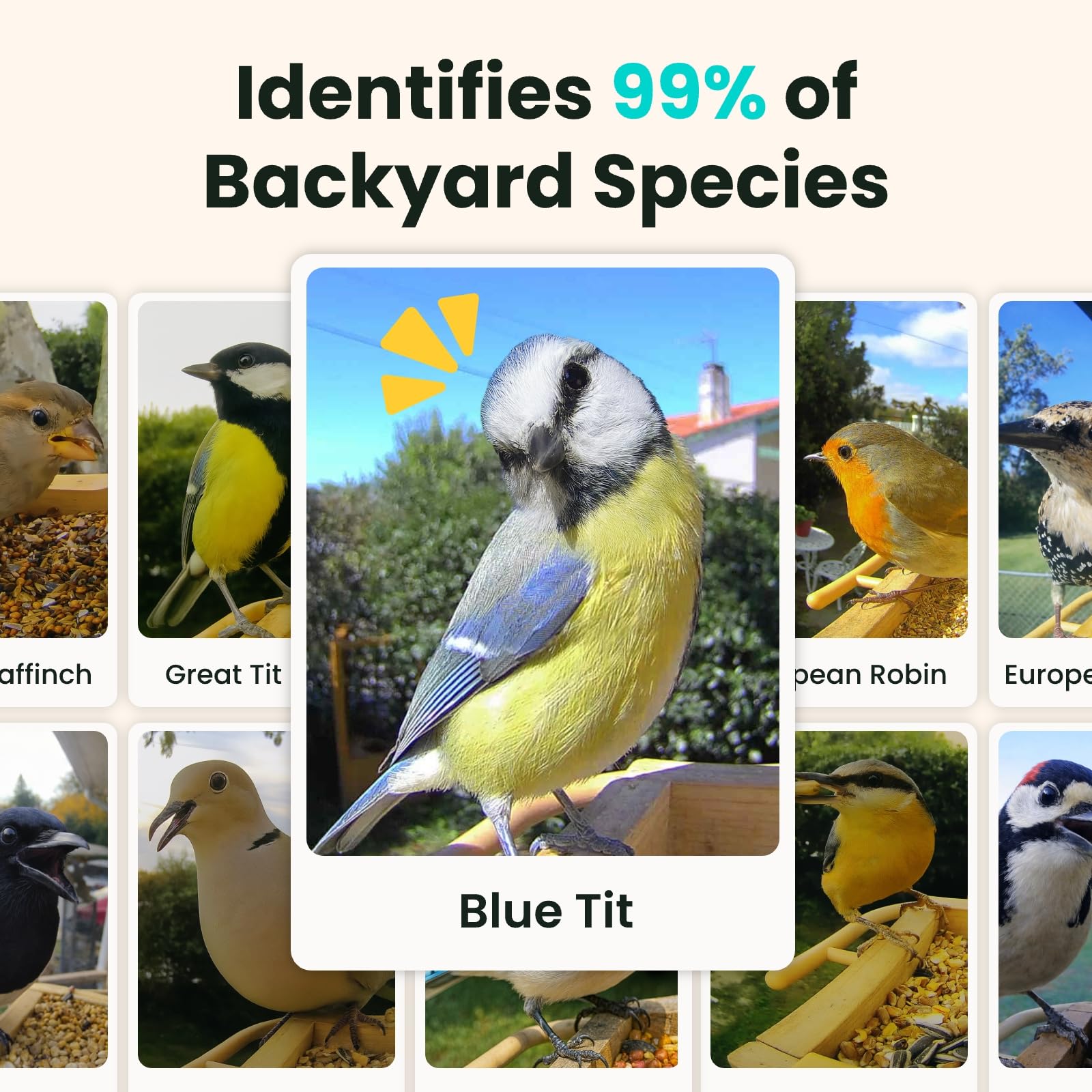 Smartes Vogelfutterhaus mit Kamera, Birdfy VogelFutterspender aus Holz, solarbetrieben, KI-Erkennung für 6000+ Vogelarten, 1080P Hochformat, wetterfest, App Live-Ansicht, YouTube&Facebook Streaming