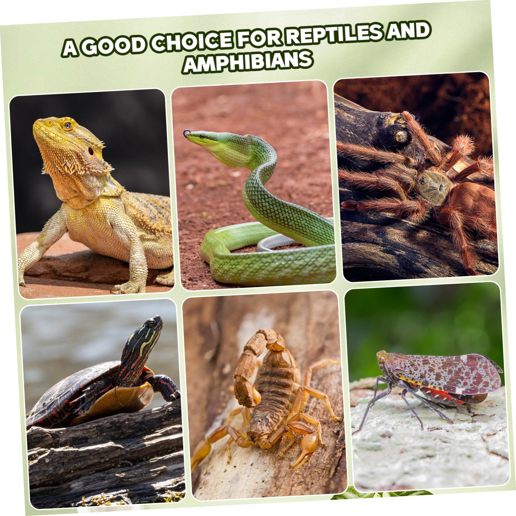 14piezas Plataforma De Trepa para Reptiles Refugio Natural y Decoración para Terrario y Acuario Aislante para Reptiles Espacio De Ocultación para Serpientes y Lagartos