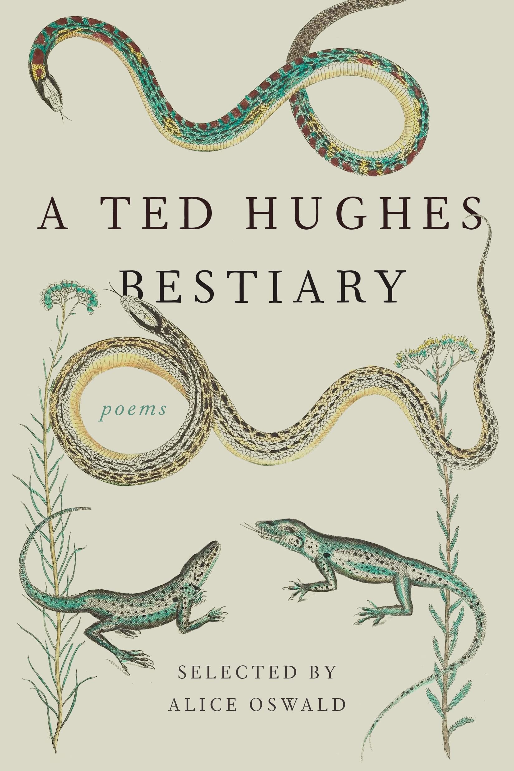 Amazon.com: Ted Hughes: books, biography, latest update