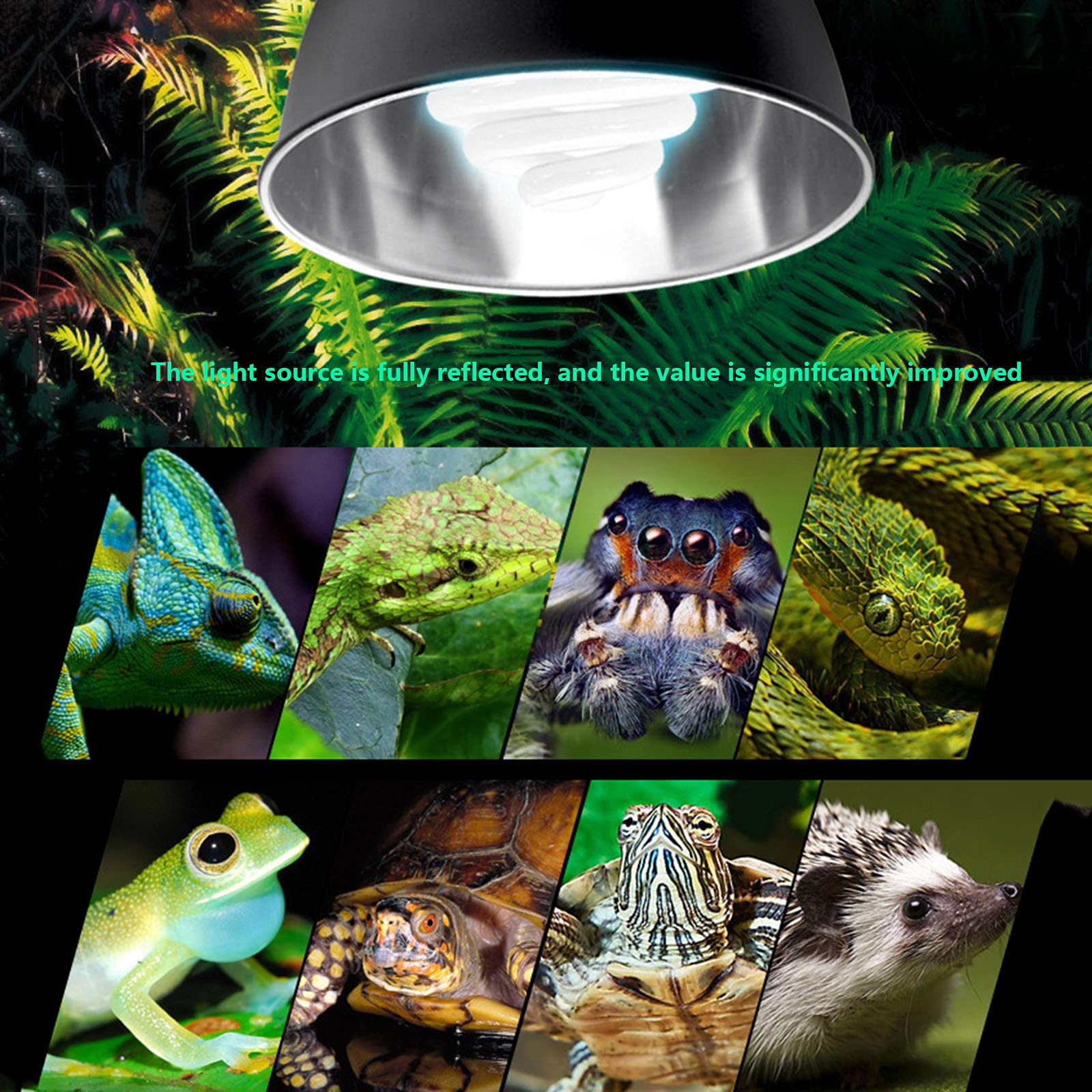 Lampada Singola per Dispositivo di Illuminazione per Rettili,Supporto Lampada Riscaldante Acquario da 8,5 Pollici Supporto Lampada da Tavolo Tartaruga,B