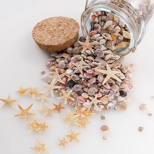 Miniatura 5 de PPCLION 60 piezas de estrellas de mar pequeñas 1800 piezas pequeñas pequeñas conchas de mar para manualidades de caracolas en espiral para