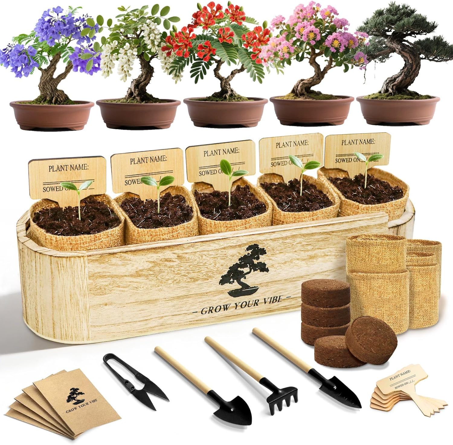 LUOJIBIE Bonsai Tree Kit for Beginners - Unique DIY Japanese Bonsai Trees,Crafts for Adults, Ideal Gardening Birthday Gift for Women & Men,Complete Indoor Plant Kit