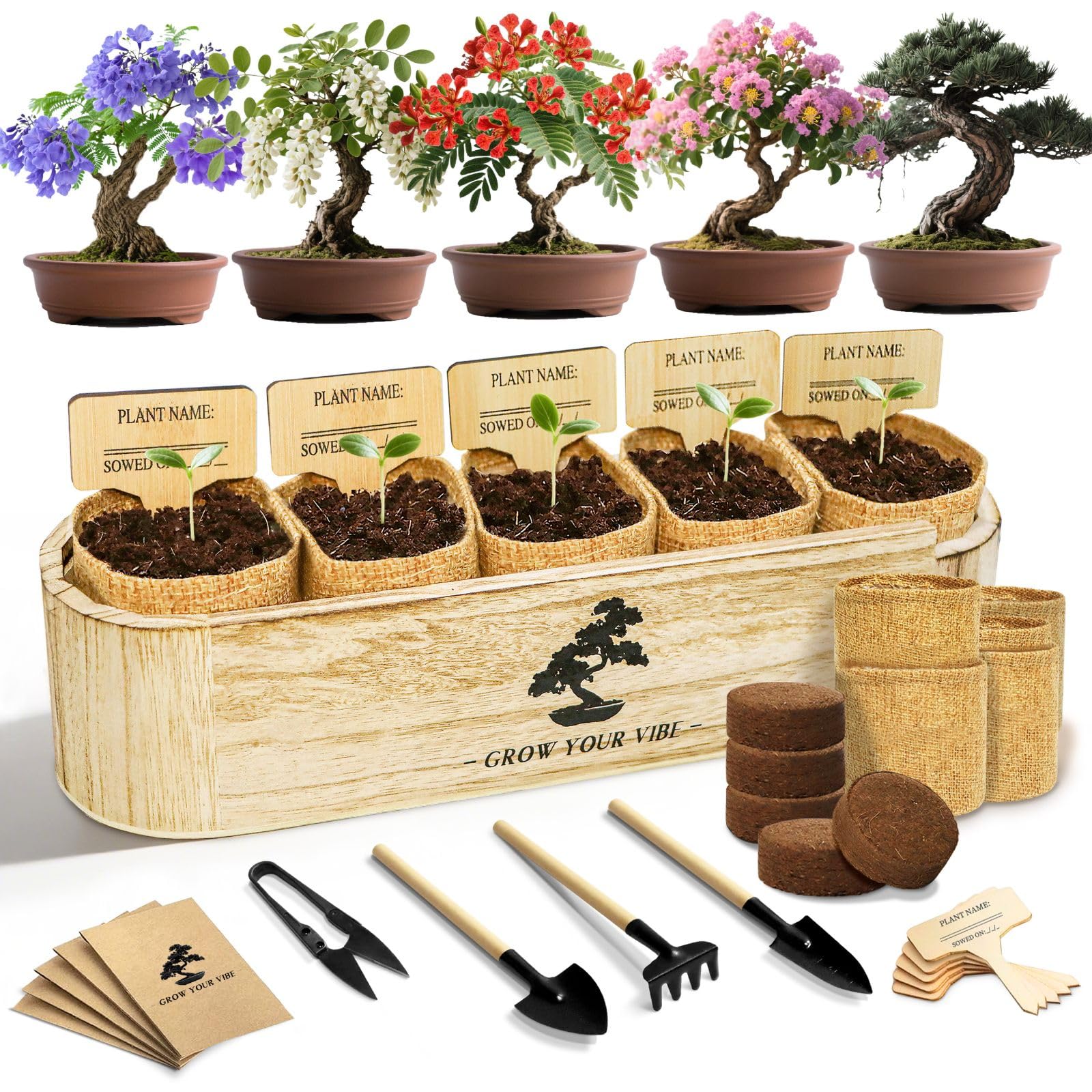 LUOJIBIE Bonsai Kit