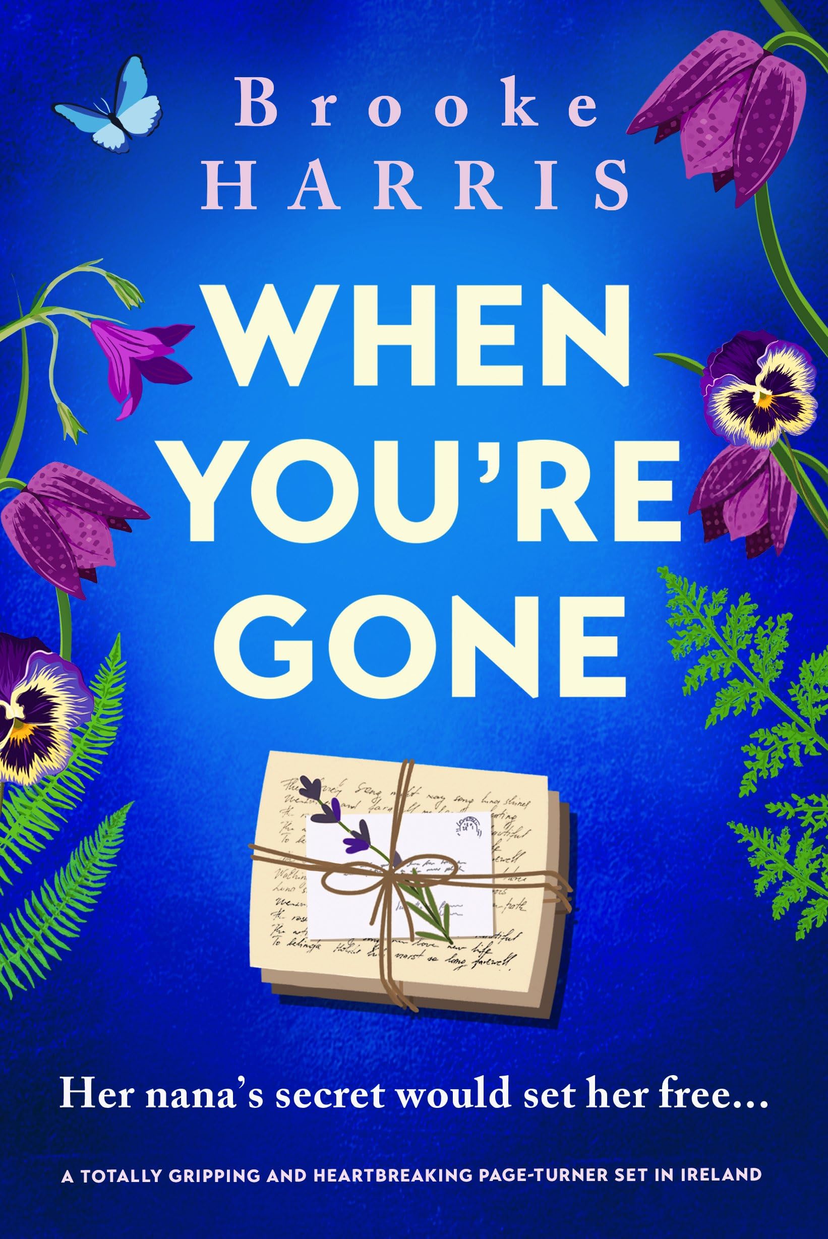 When You're Gone: A totally gripping and heartbreaking page-turner set in Ireland