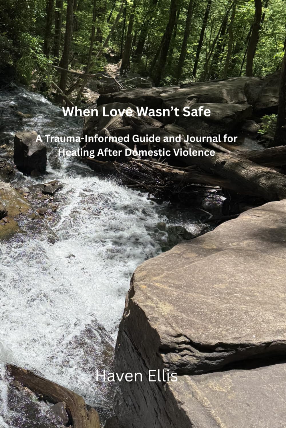 When Love Wasn't Safe: A Trauma-Informed Guide and Journal for Healing After Domestic Violence