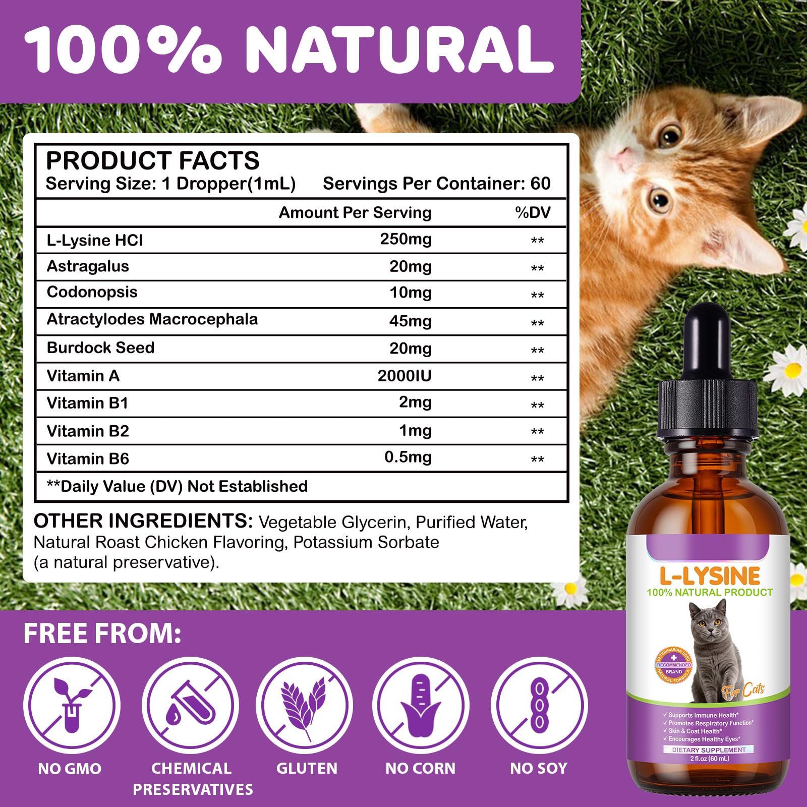 Gotas de L-lisina para gatos 60 ml – Natural Sabor Pollo, 250 mg por dosis, apoyo inmune y respiratorio, ayuda a la salud ocular y a las manchas de lágrimas