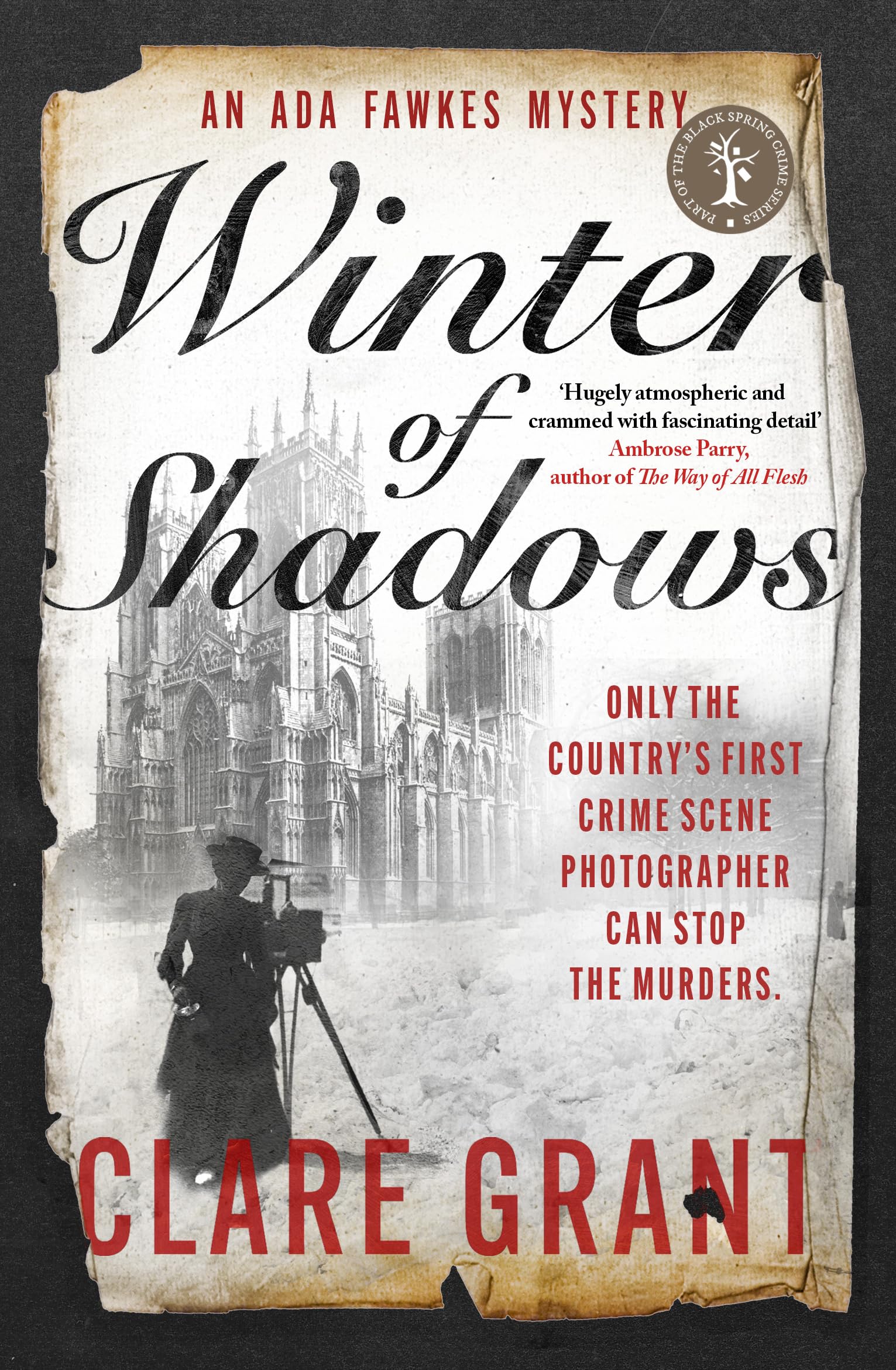 Winter of Shadows