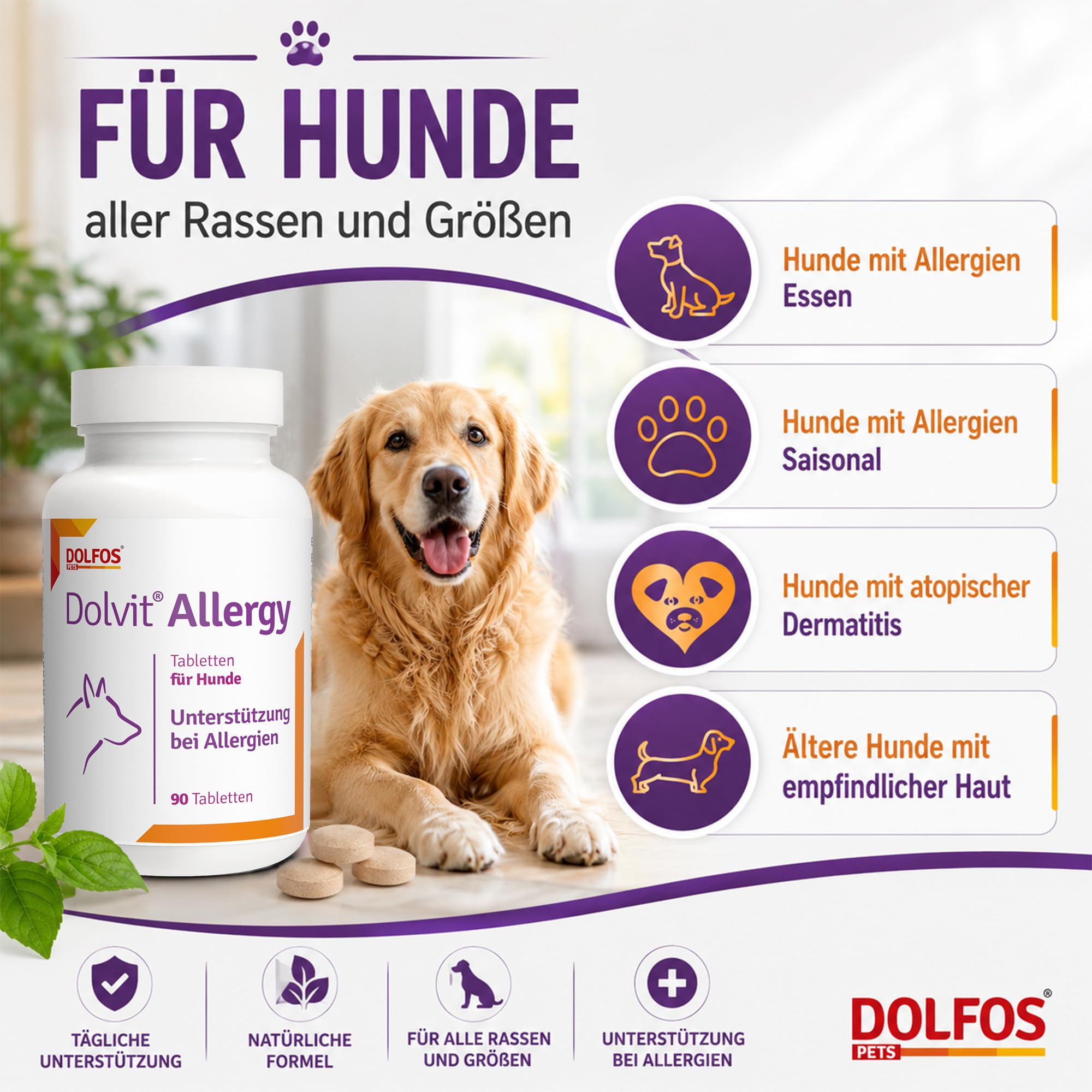Dolvit Allergy 90 Tabletten, Allergie Tabletten für Hunde gegen Juckreiz & Dermatitis, Natürliches Ergänzungsfutter Hund zur Fellpflege, Hautgesundheit & Unterstützung bei Allergie Hund (1)