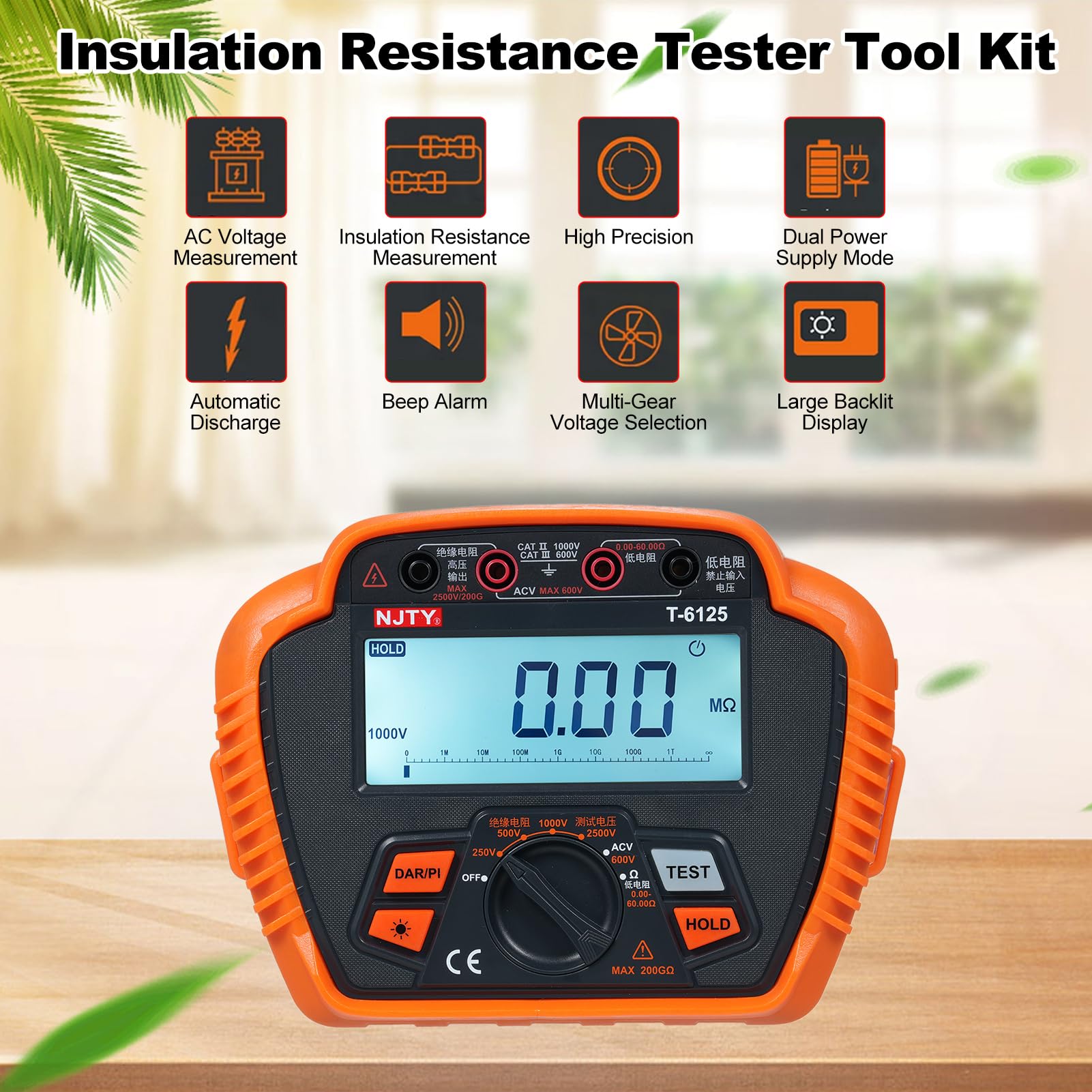 Megohmmètre Testeur de Résistance D'isolement 100V-2500V 0.01 MΩ ~ 200.0 GΩ Gamme Automatique avec Maintien des Données