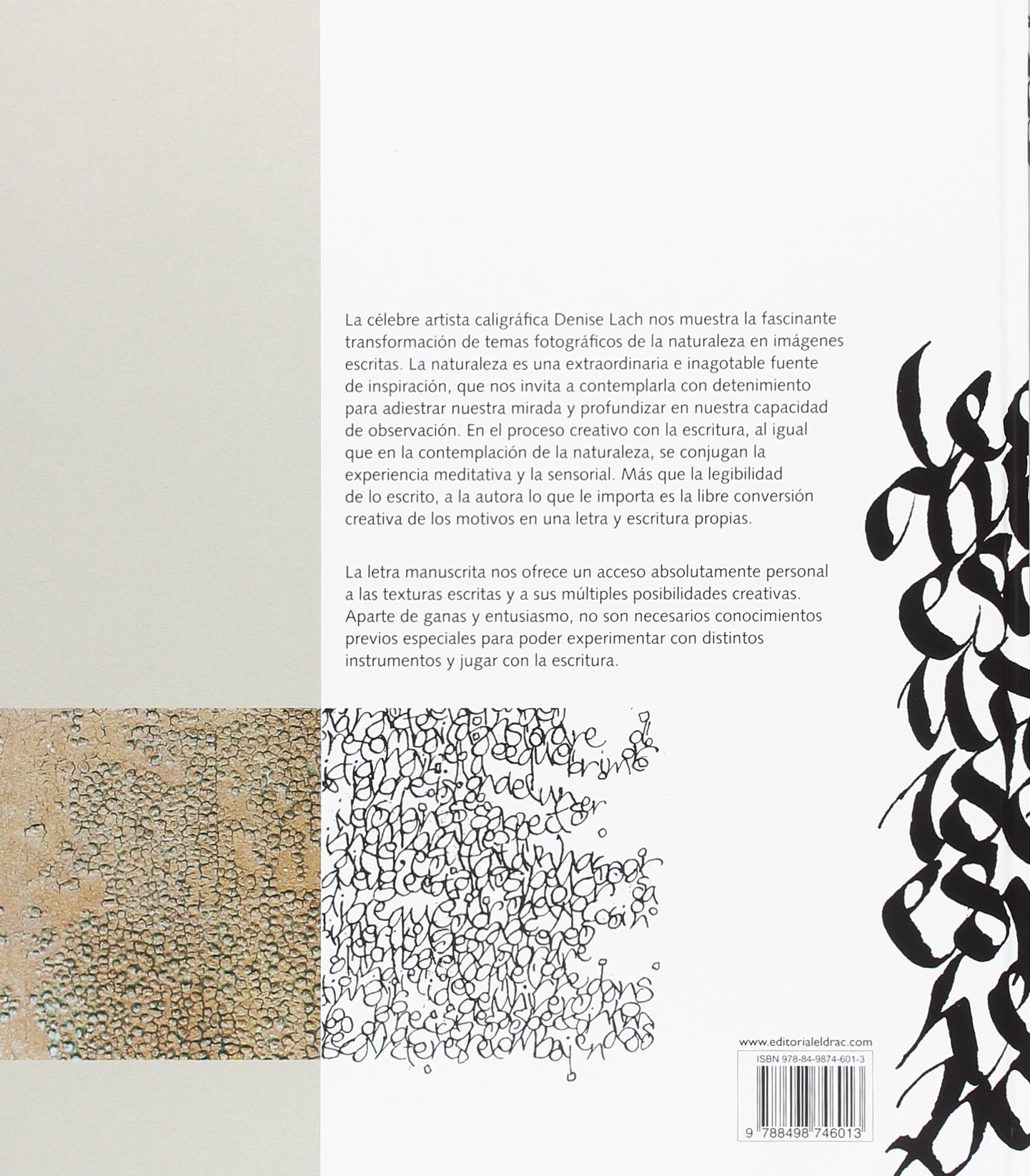 Juegos de escritura. Caligrafía experimental Tapa dura– 9 abr 2018 de Denise Lach (Autor), Anna Coll García (Traductor) (TENDENCIAS JUVENILES)