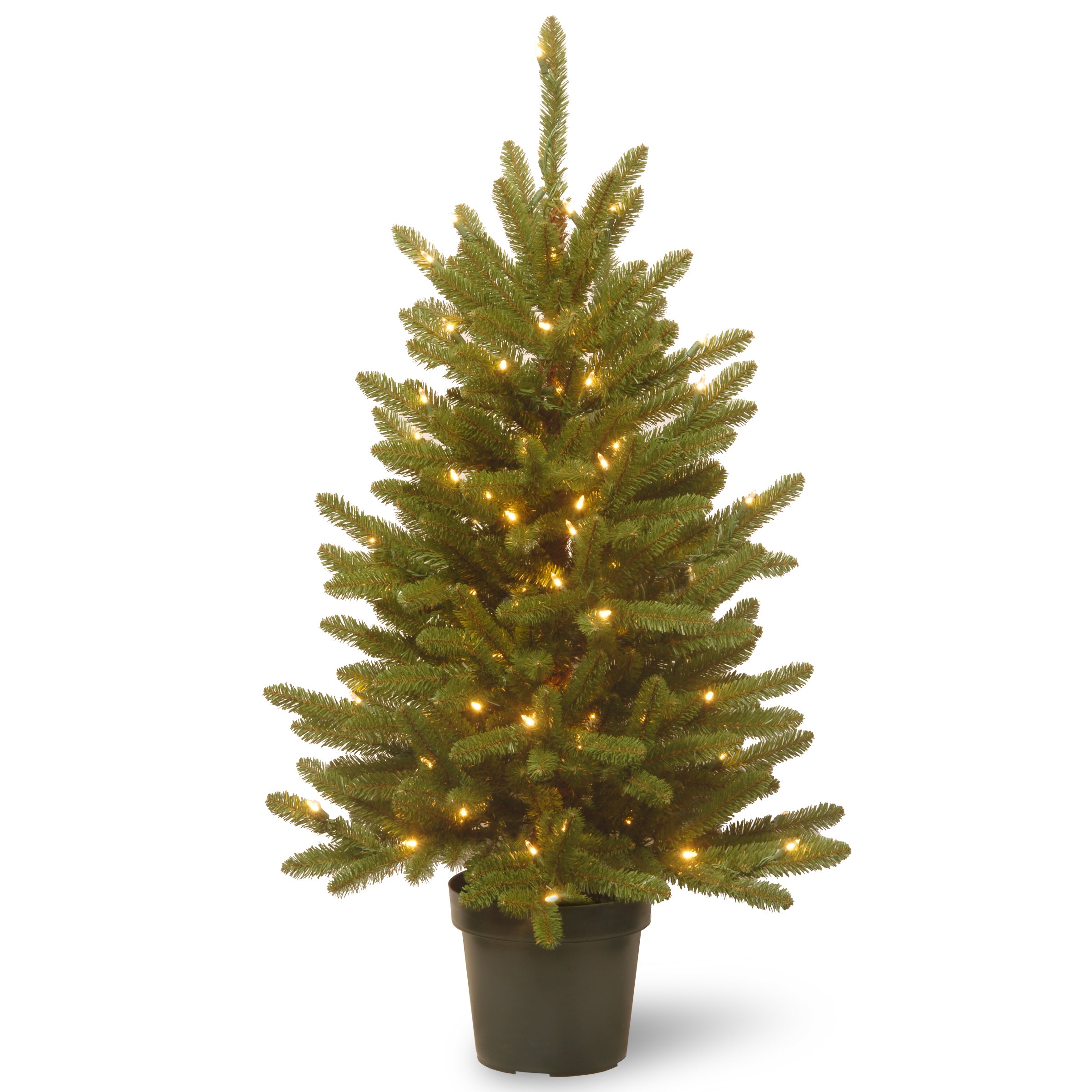 National Tree 4 Foot Kensington Tree with 100 Clear Lights in Green Growers Pot (KNT3-307-40)