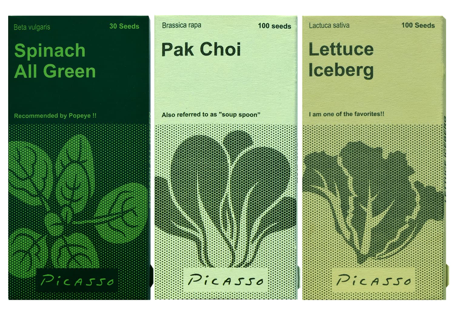Kitchen Garden Seeds by PICASSO (Spinach, Pakchoi (Bokchoy), Lettuce Iceberg) (B09B15D1LV) Amazon Price History, Amazon Price Tracker