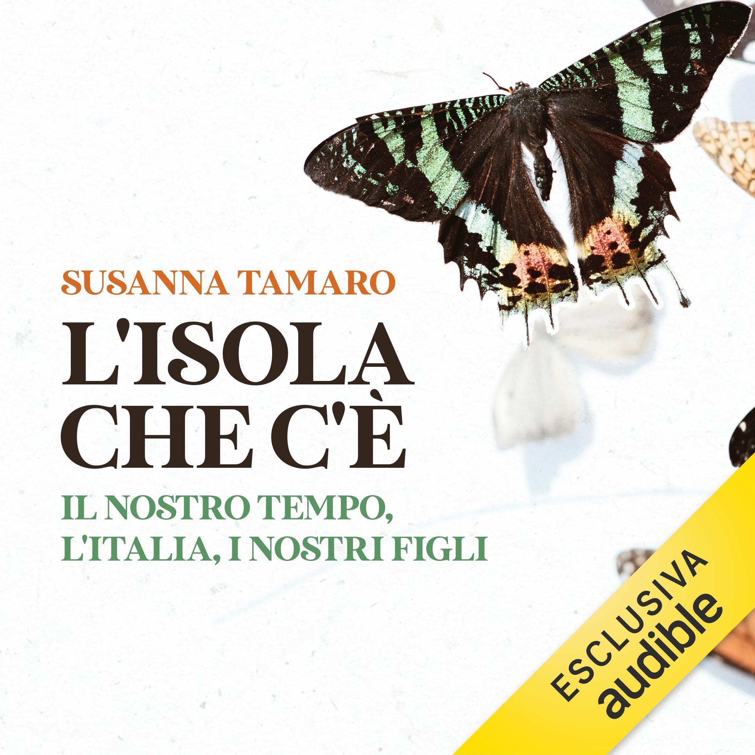 L'isola che c'è: Il nostro tempo, l'Italia, i nostri figli