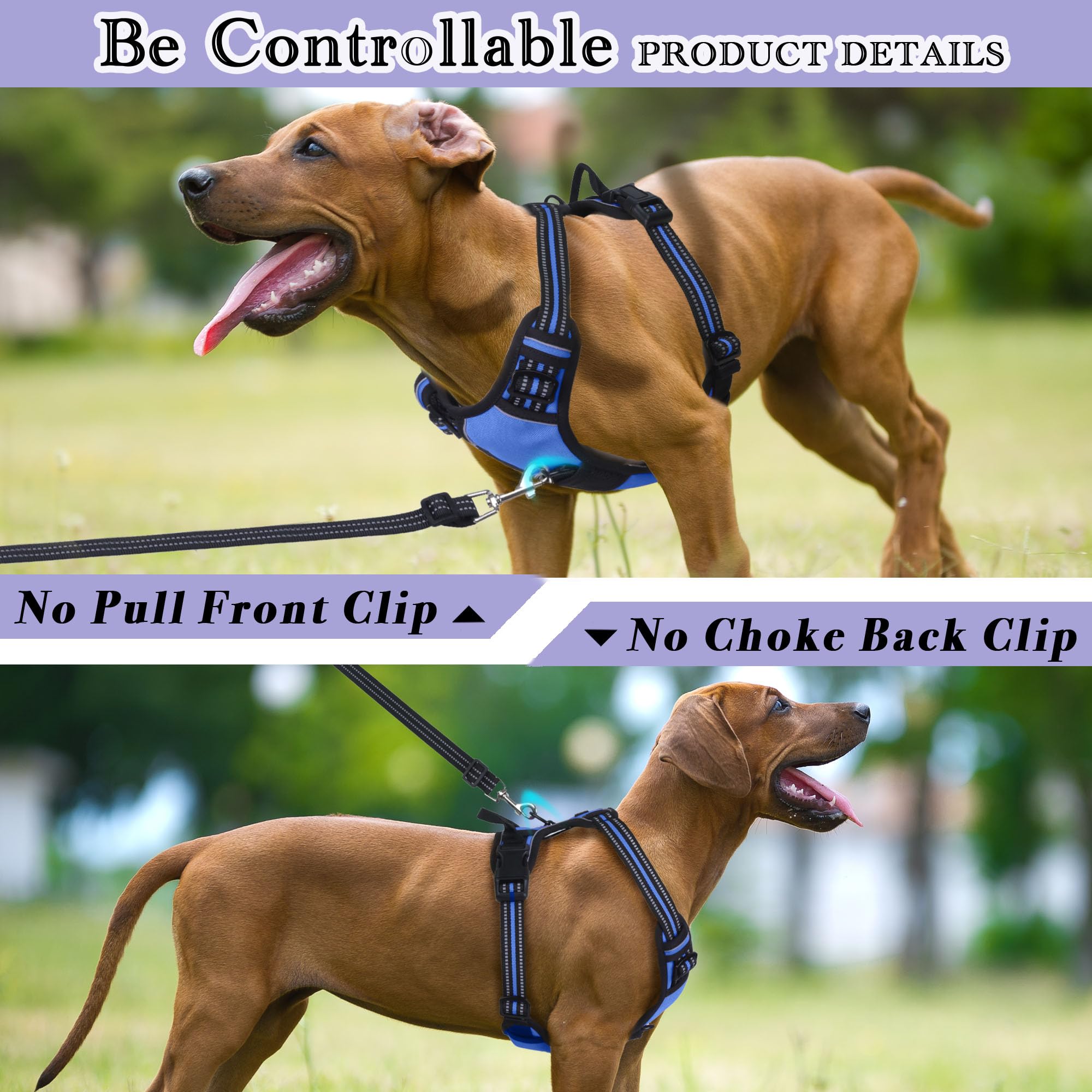 Funfox Dog Harness Large Dog, 2 Clips No Pull Vest Harness Handle Control - Image 3