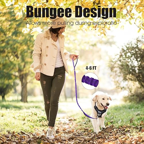 Miniatura 18 de BUMBIN Correa elástica para perro de 6 pies, correa elástica para perro con 2 asas, correas resistentes para perros medianos y pequeños, sin